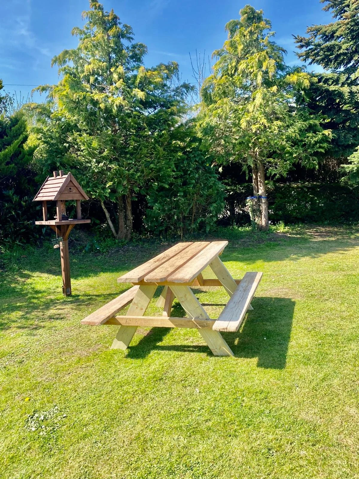 A wooden picnic table with attached benches on a grassy lawn, with a small wooden birdhouse on a post nearby, and green trees in the background under a bright blue sky.