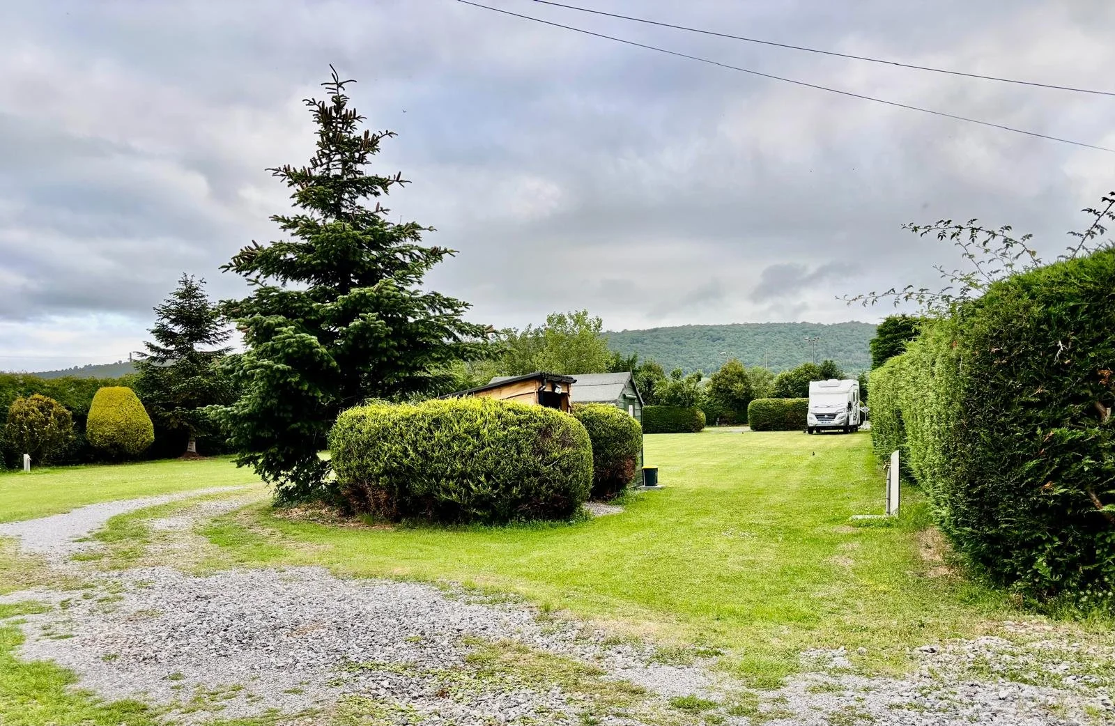 A spacious grassy yard with trimmed hedges, a large pine tree, a small wooden shed, and a white camper van in the background, under a cloudy sky.