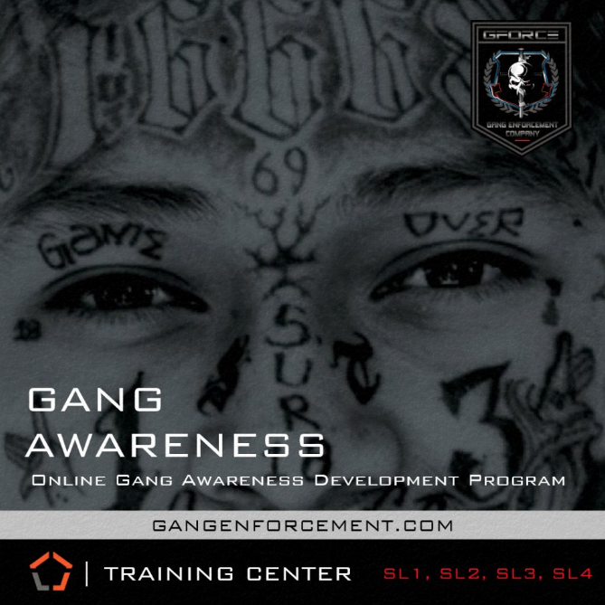 The Gang Enforcement Company