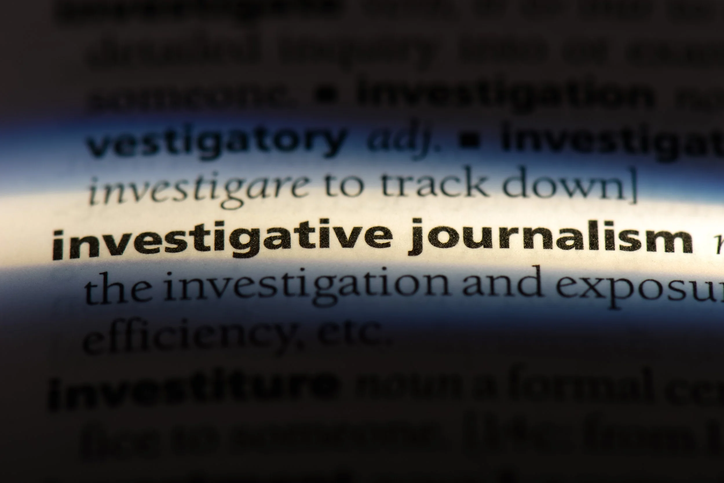 Securepoint Investigative Journalism.jpg