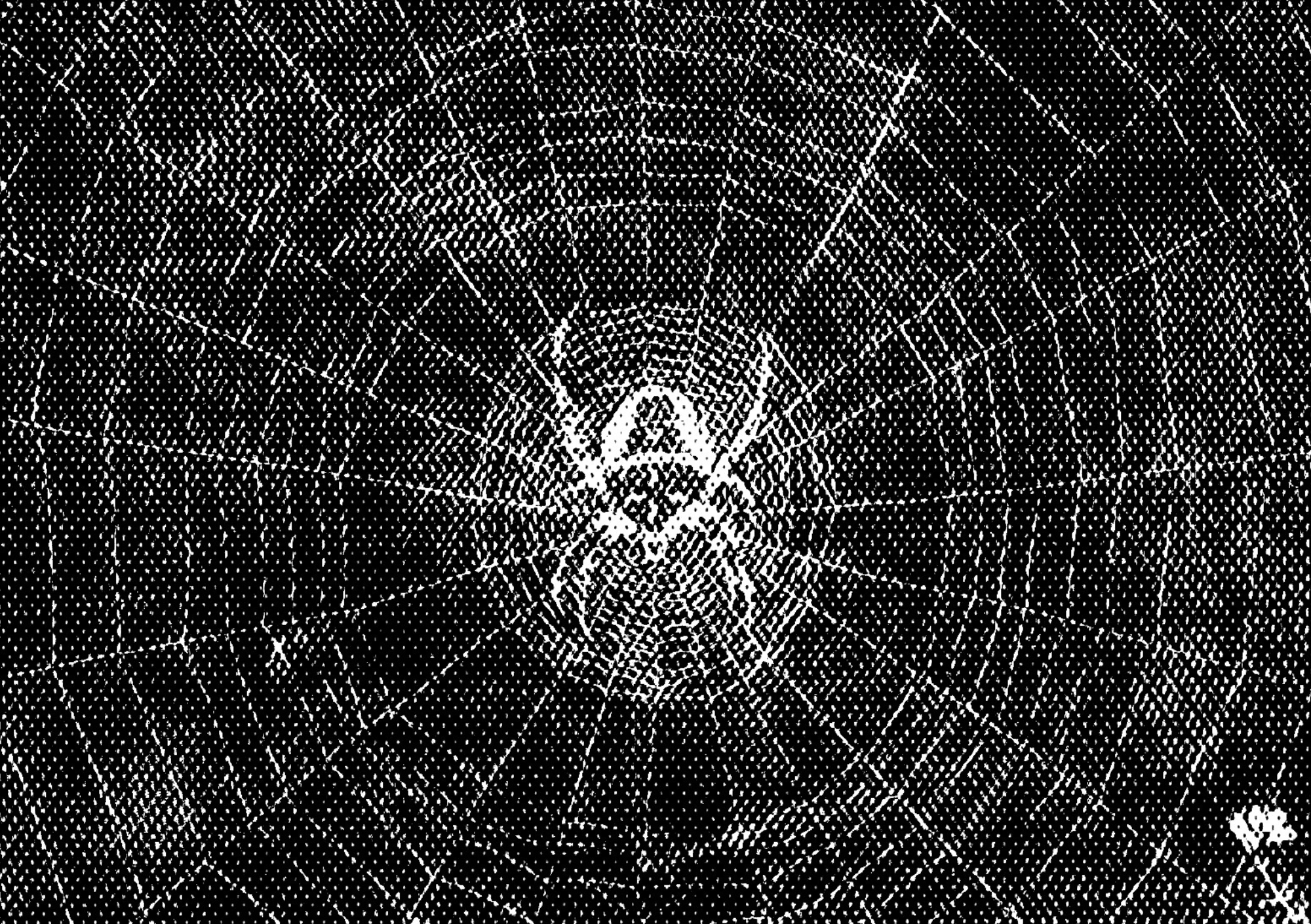 Close-up of a spider web on a black background, with intricate silk patterns.