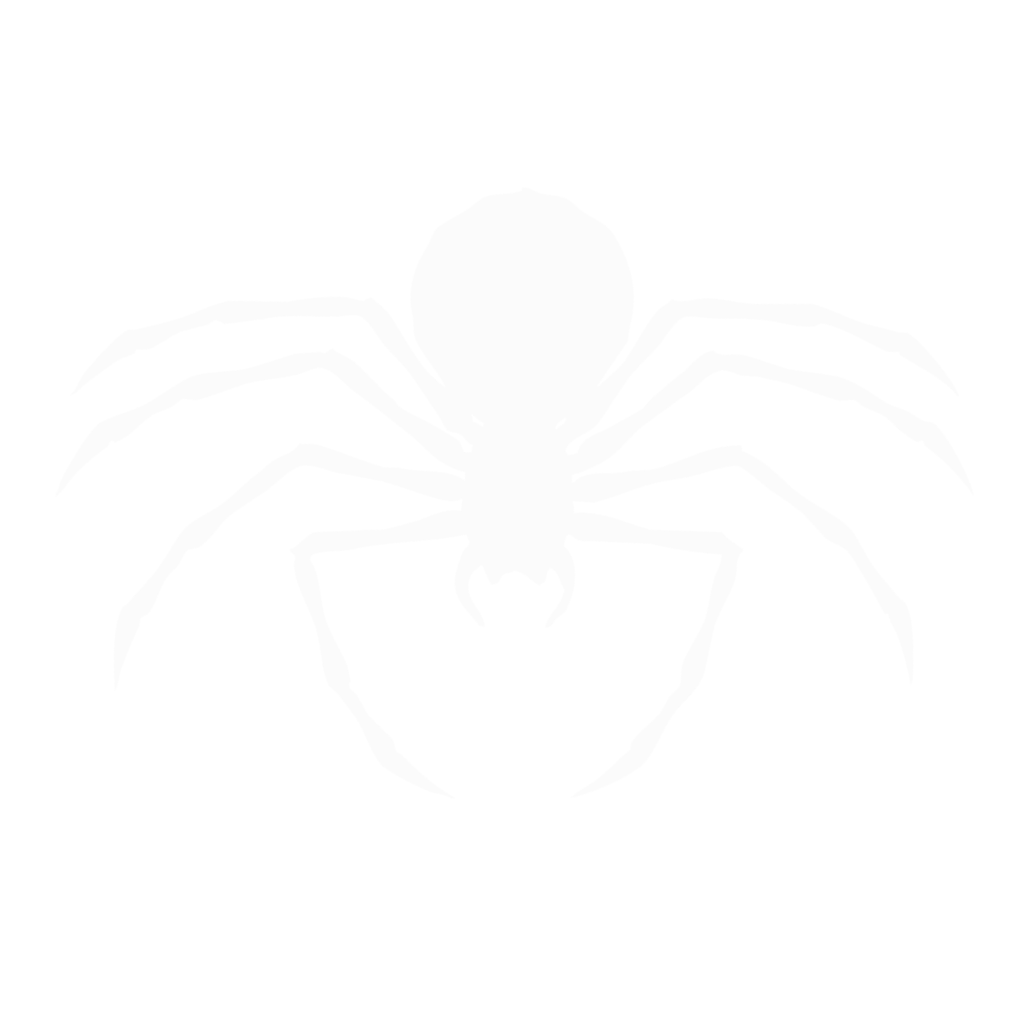 High-contrast black and white illustration of a spider with detailed legs and body.