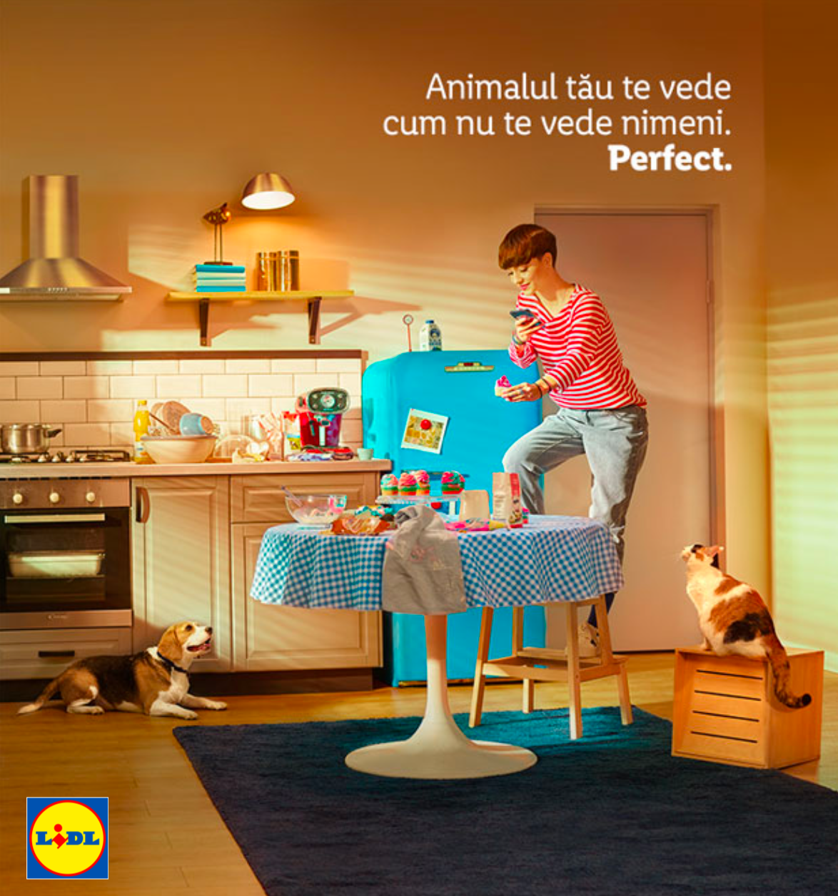 A young man celebrating a birthday in a cozy kitchen with two dogs, a puppy on the floor and a dog on a crate, with party cupcakes and decorations, in front of a blue refrigerator. The scene has warm lighting and a Lidl logo in the bottom left corner.