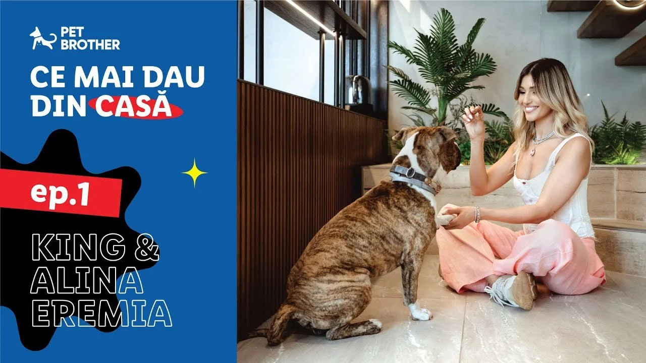 A woman sitting on the floor of a modern home, smiling while playing with a large brindle and white dog, with green plants and large windows in the background.