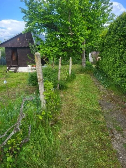 04.JPG
