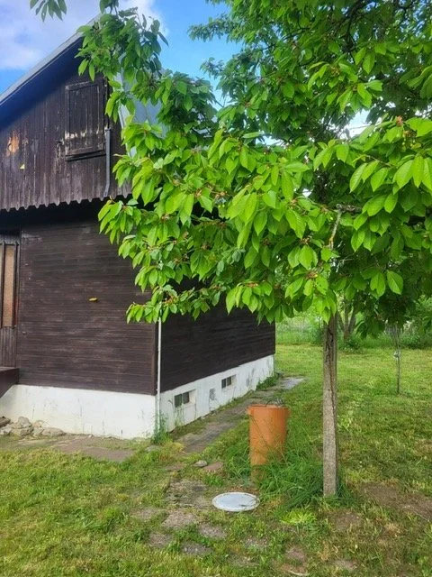 05.JPG