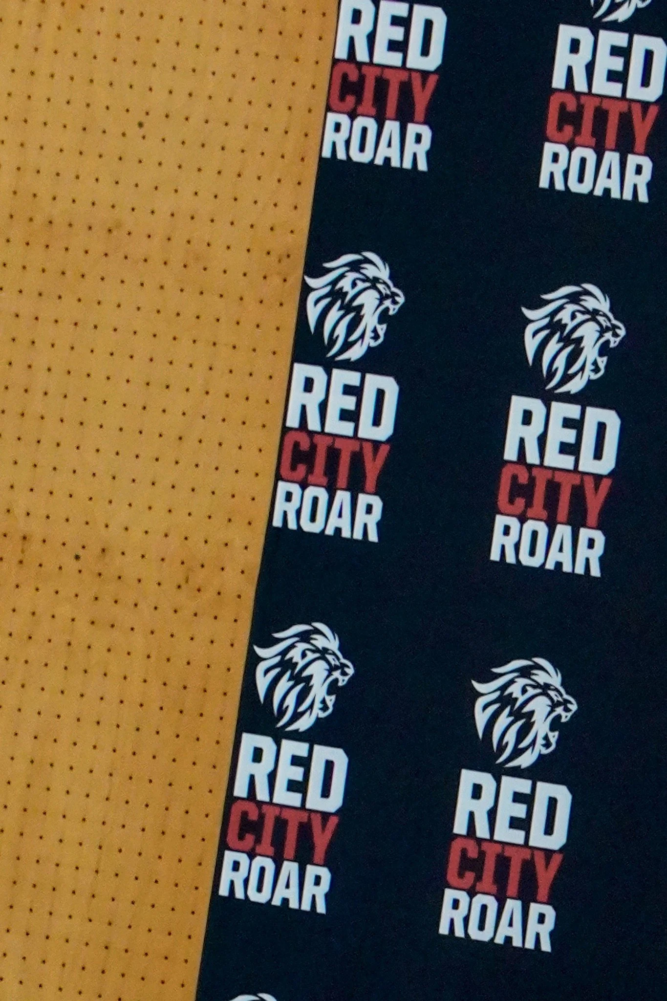 📸⭐️ The first RedCity Roar End-of-Year Volunteer Social Event! 🏀✨

A huge congratulations to all the clubs and to @redcityroar for an incredible year. From grassroots beginnings to junior and senior rep achievements, every level had something to ce