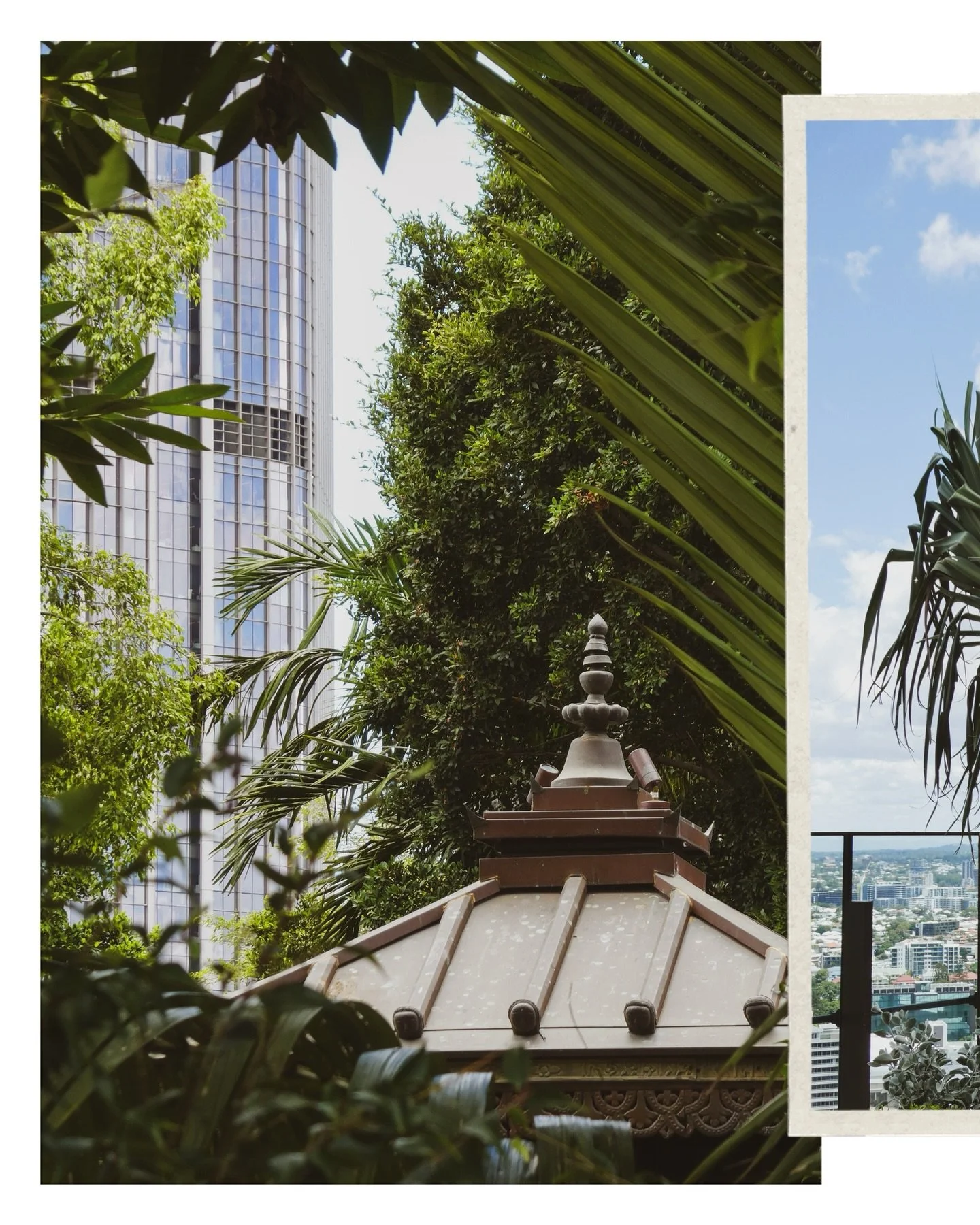 📸 A little vintage vibe to wrap up a great day...

#tz99 #sunlight