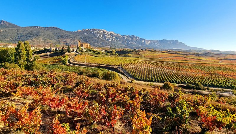 rioja-alavesa-spain.jpg