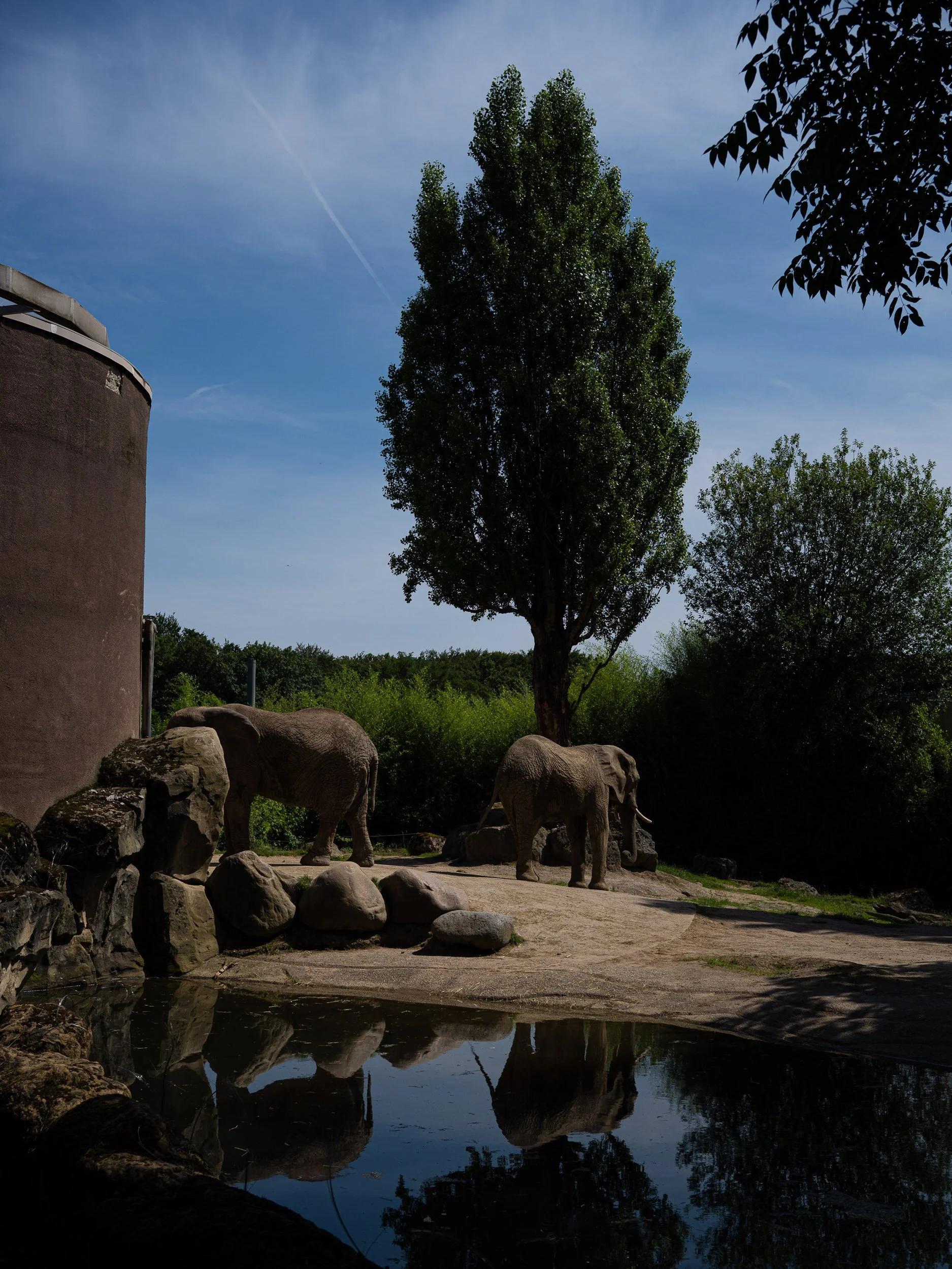 Zoo_Juli24 409.jpg