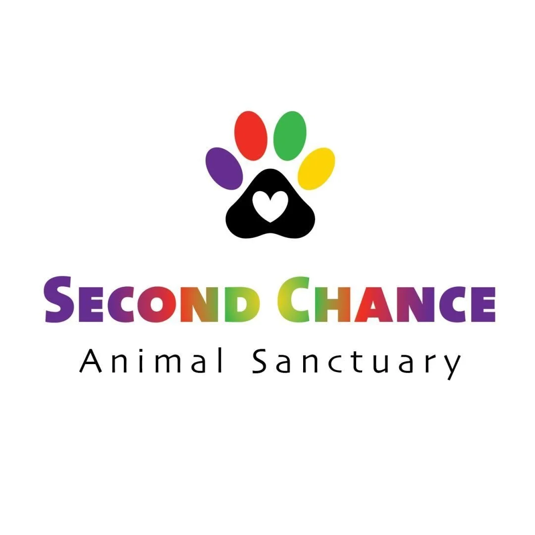 Logo for Second Chance Animal Sanctuary featuring a black paw print with a heart and colorful pads, with the name in rainbow-colored text.