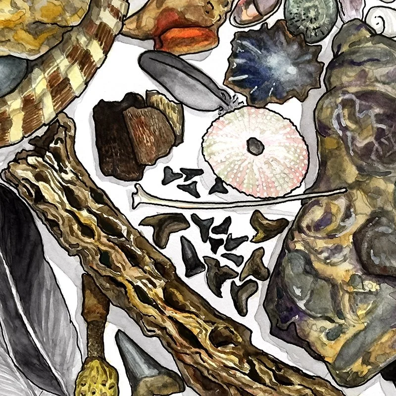 Pleasures of Treasures Collection