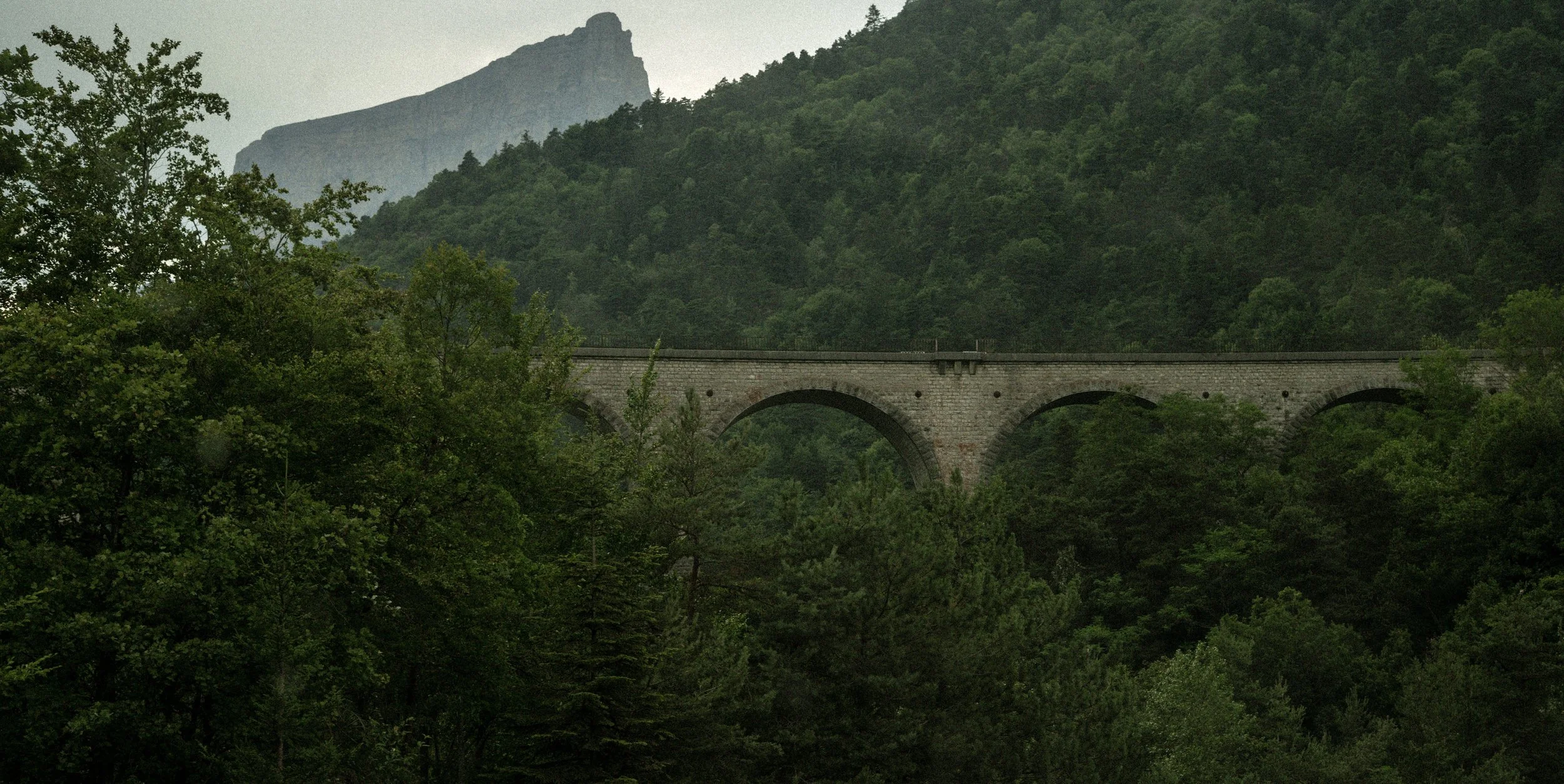 DSC09771.jpeg