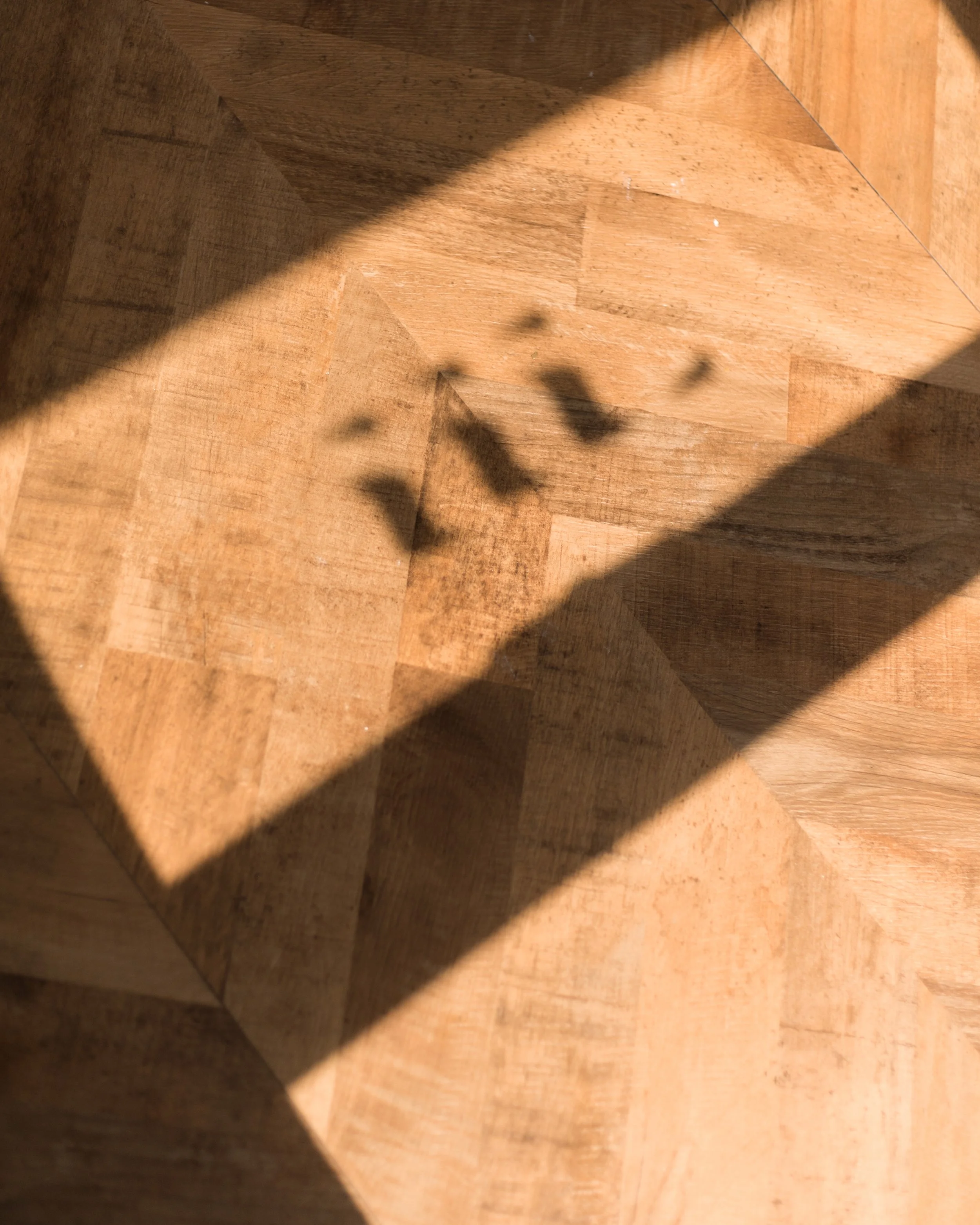 250315 TING DGTL - Shada Hotel Jeddah-32.jpg