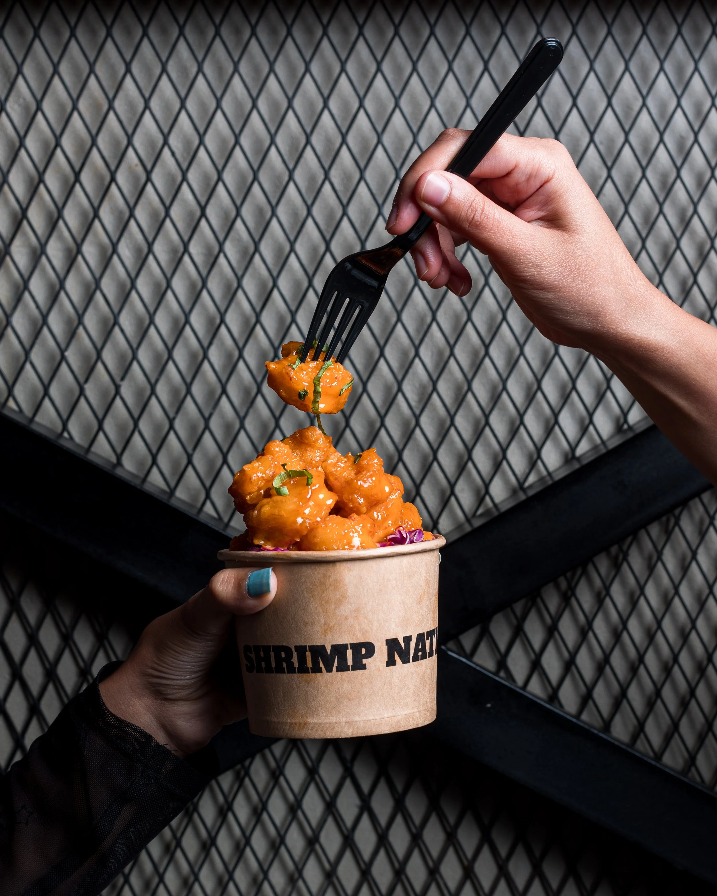 230823 Shrimp Nation-20.jpg