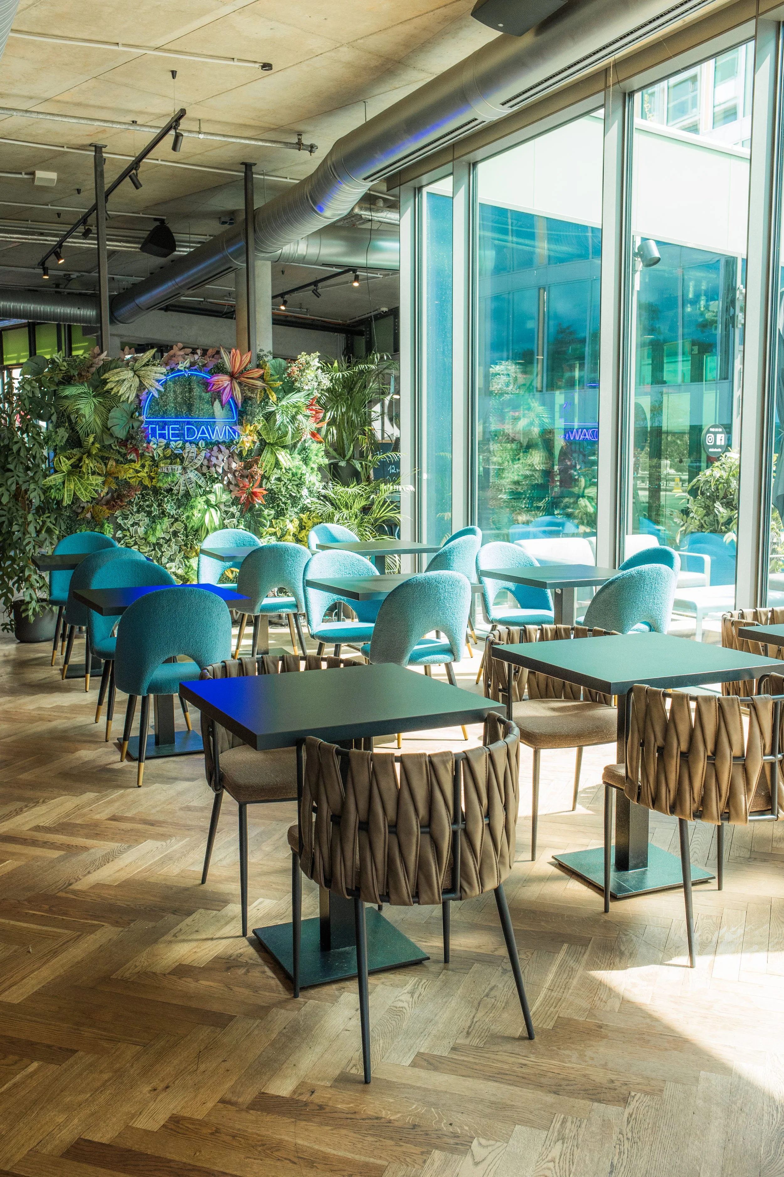 230810 The Dawn-1.jpg