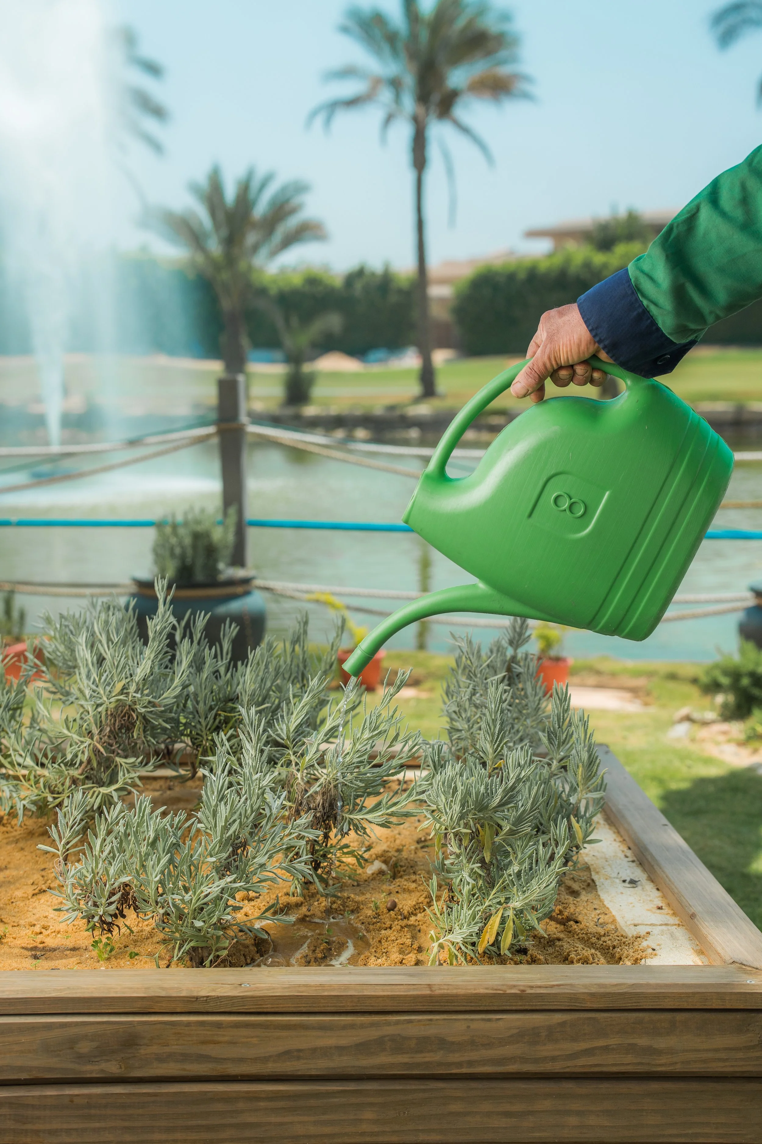 240611 JW Marriott Cairo-15.jpg