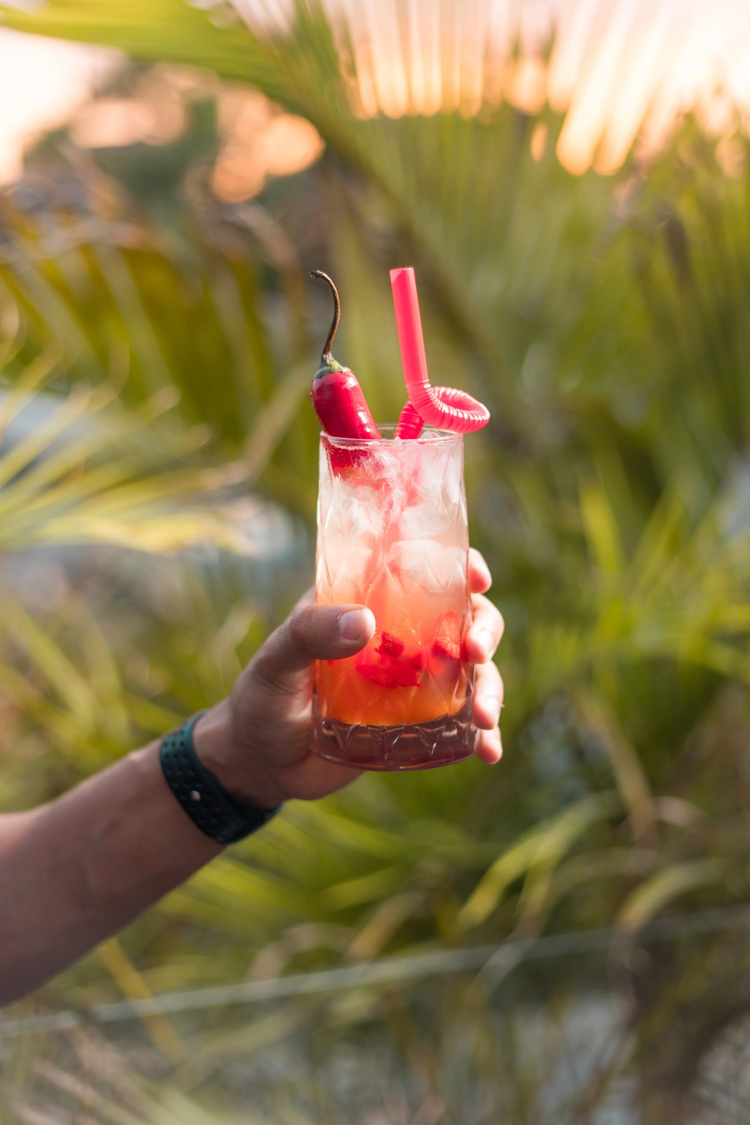 250601 TING DGTL - Bakebar-12.jpg