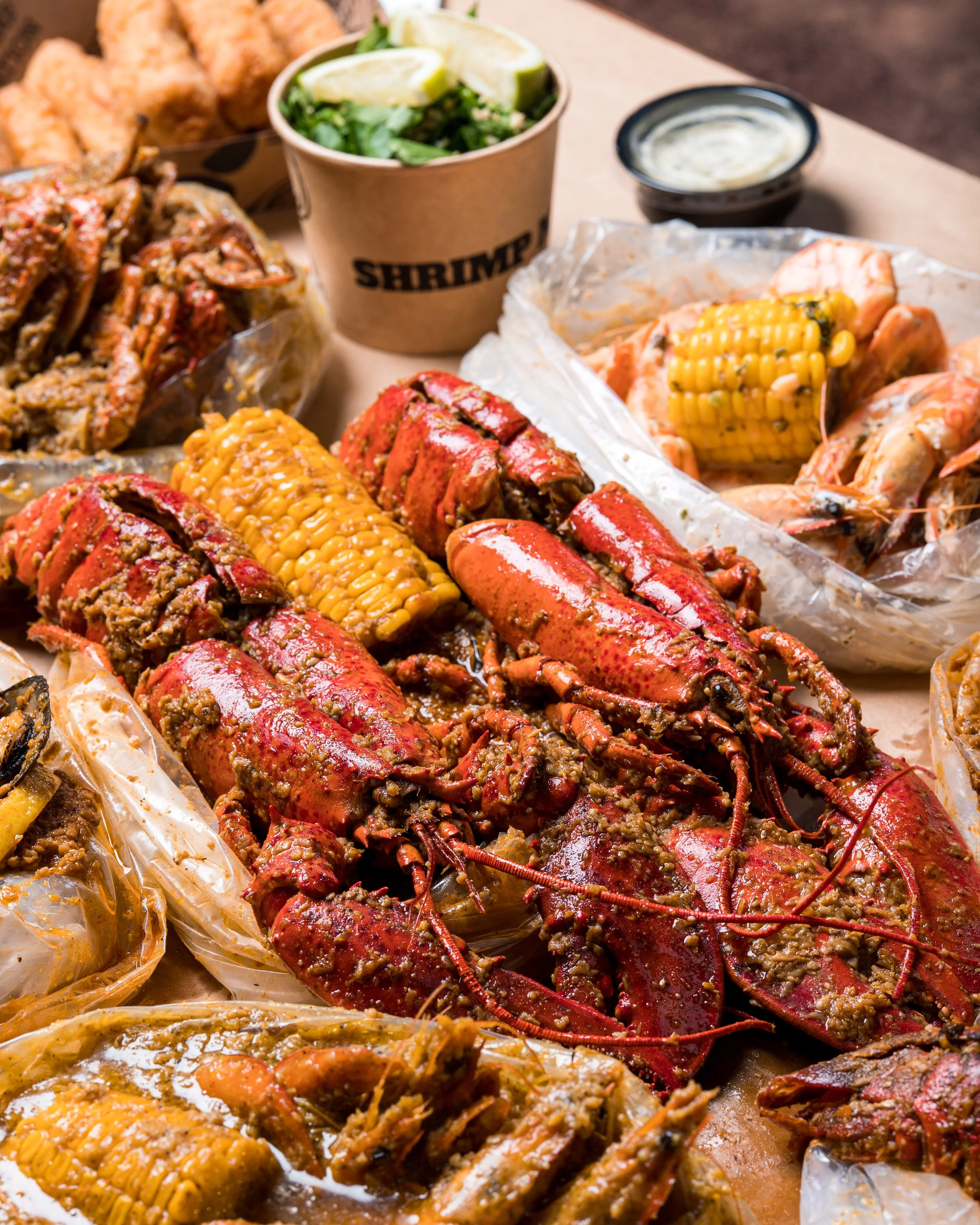 230823 Shrimp Nation-29.jpg