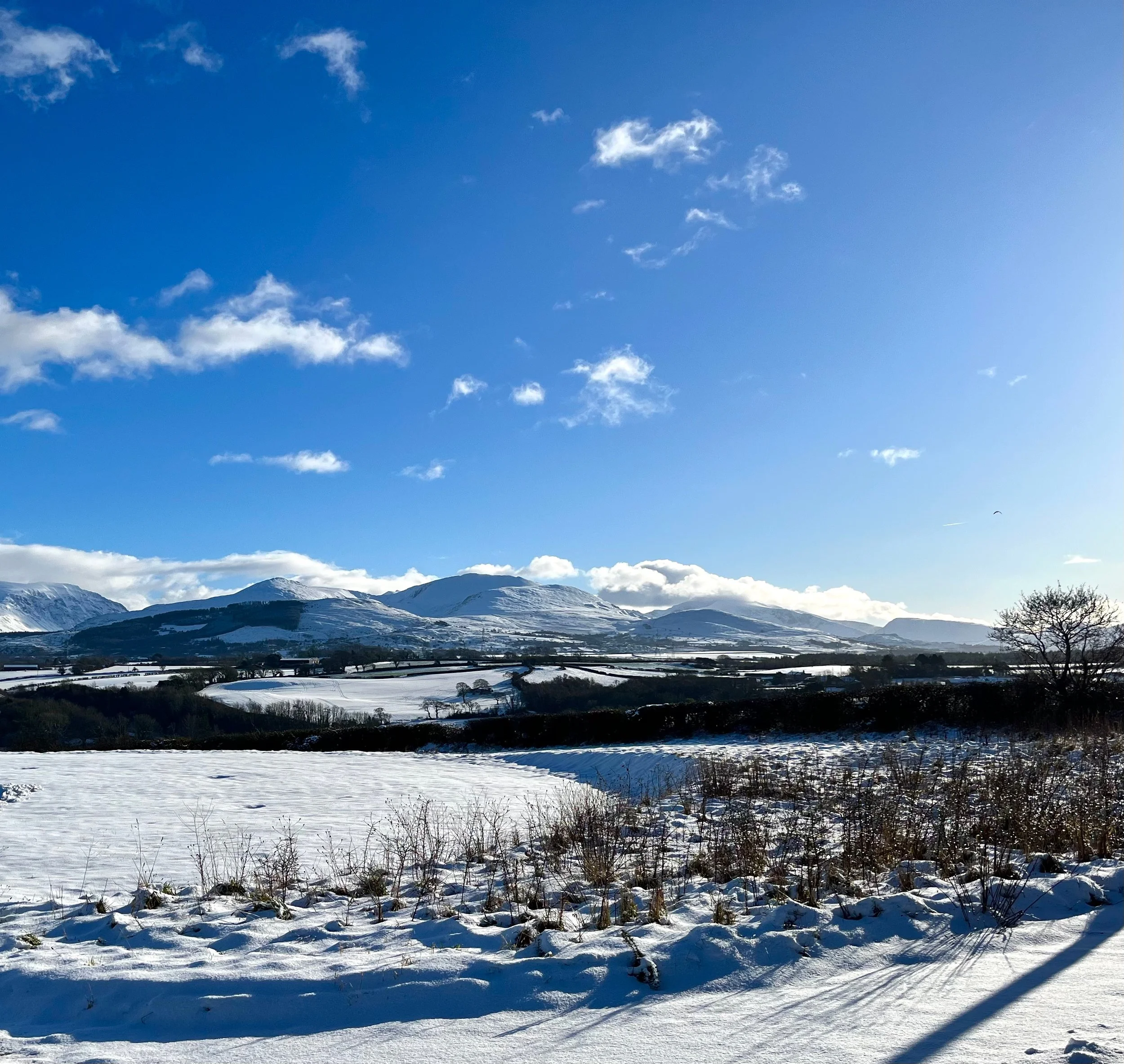 Cooked food and the hungry gap…