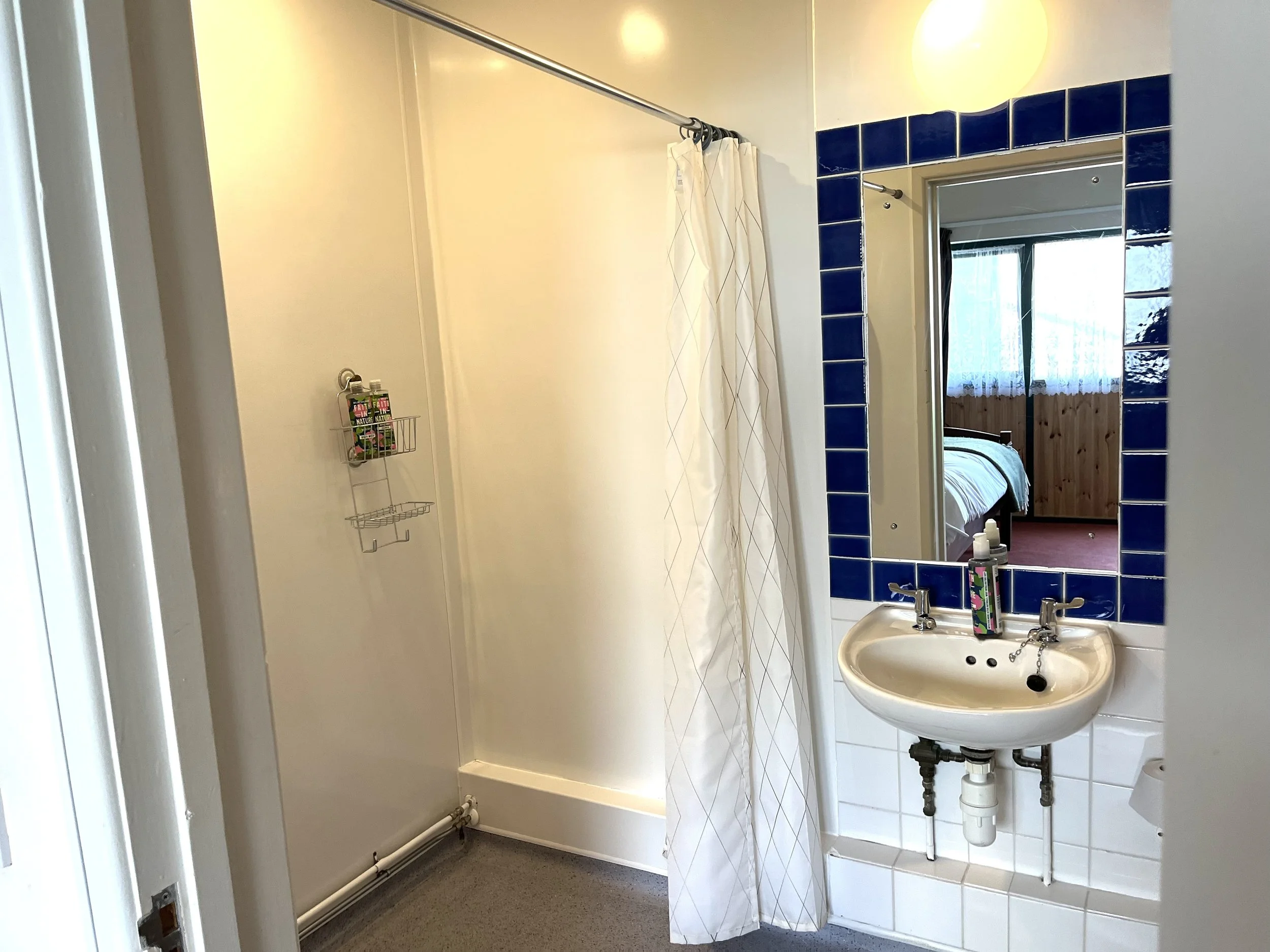 Wheelchair accessible bathroom in Eryr