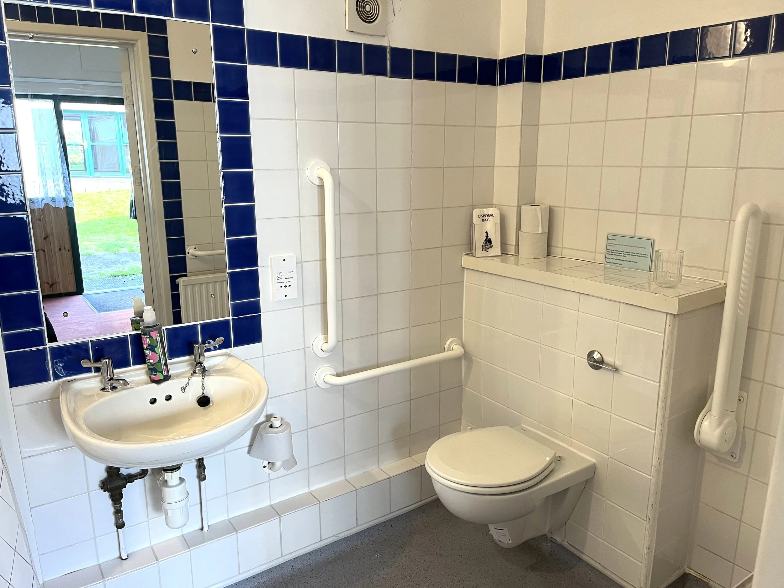 Wheelchair accessible bathroom in Eryr