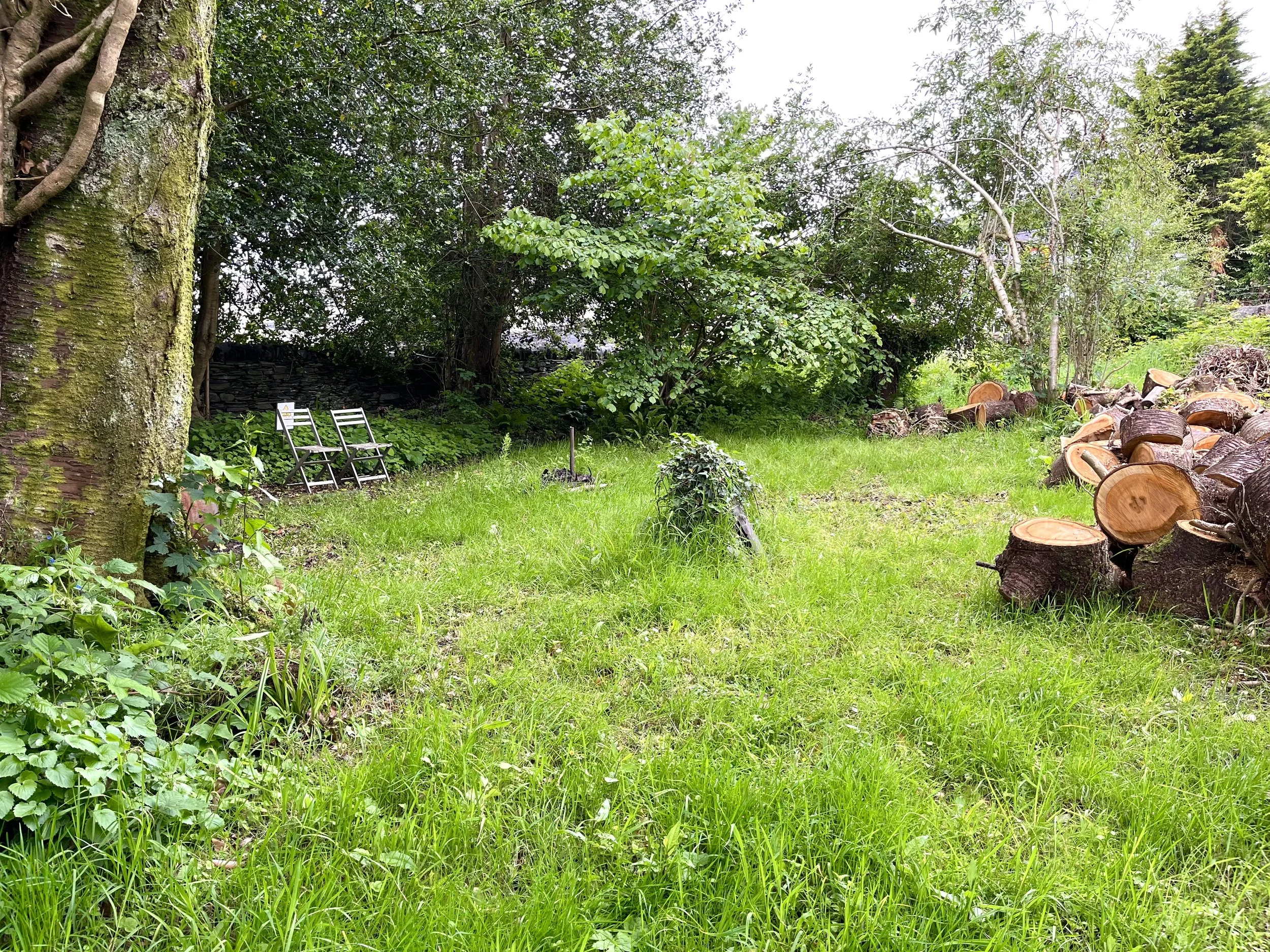 Wooded area at the top of the walled garden