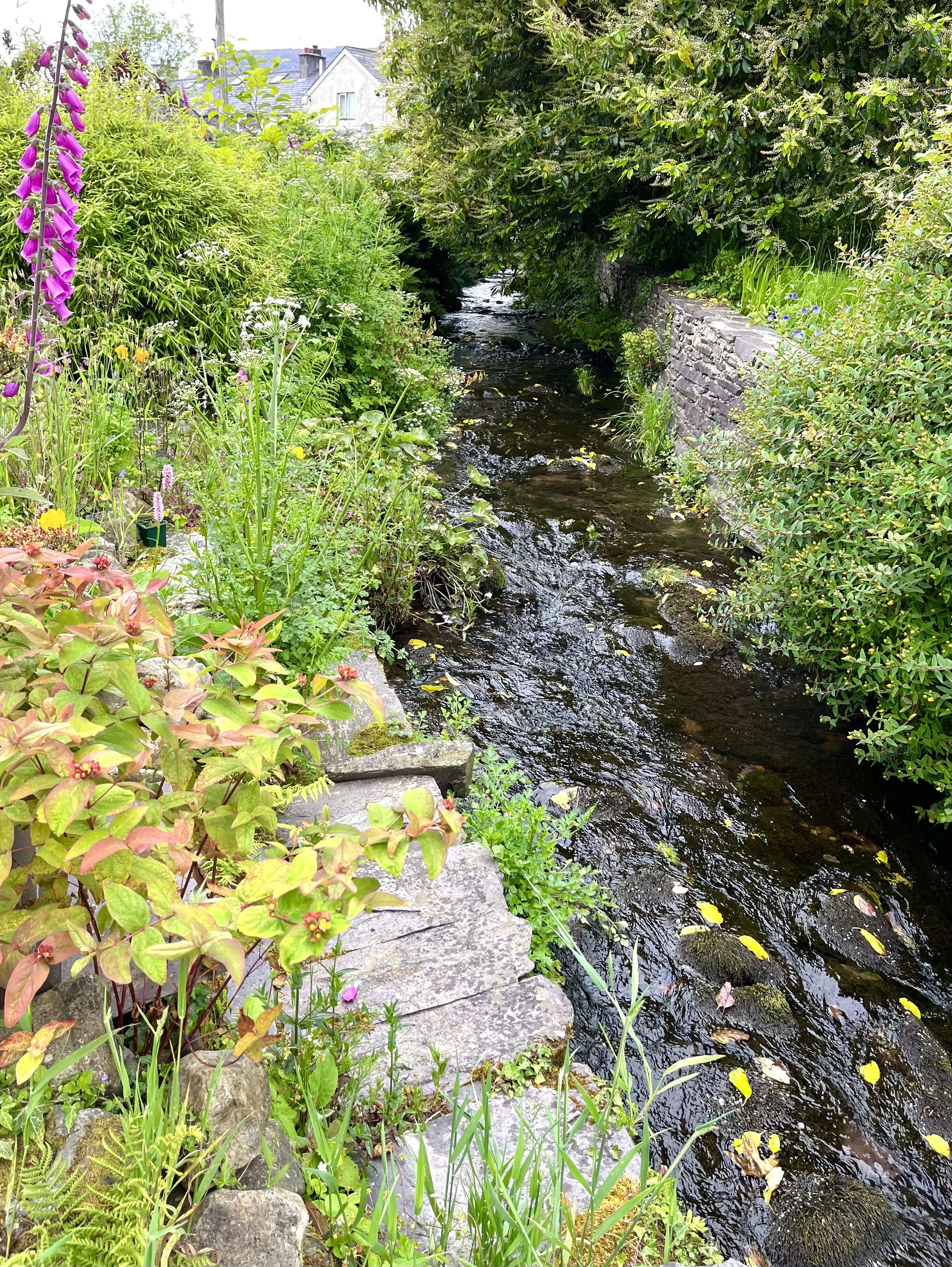Little stream through the walled garden