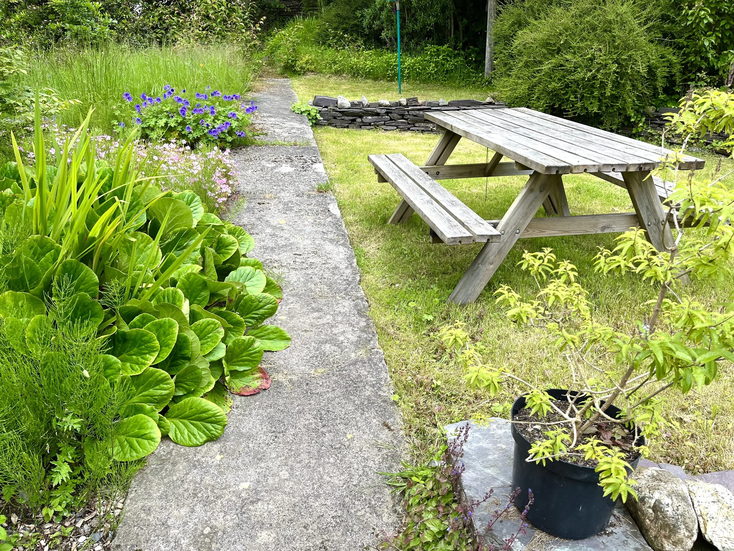 Picnic area and path through the walled garden
