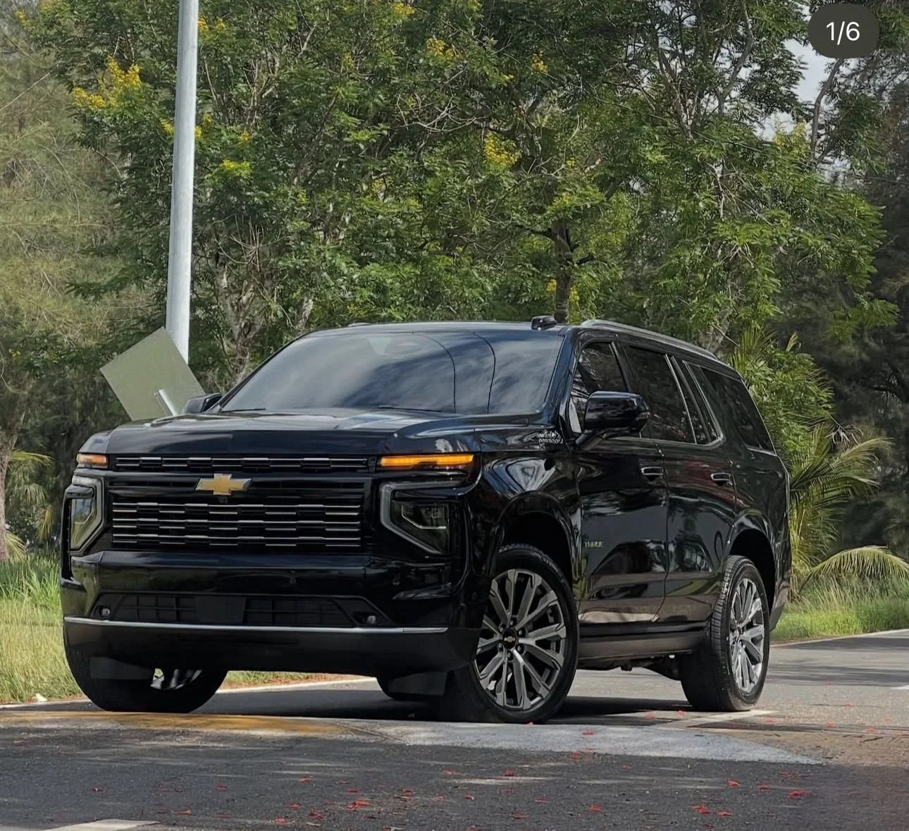 WhatsApp Image 2025-09-21 at 12.17.56 PM (5).jpeg