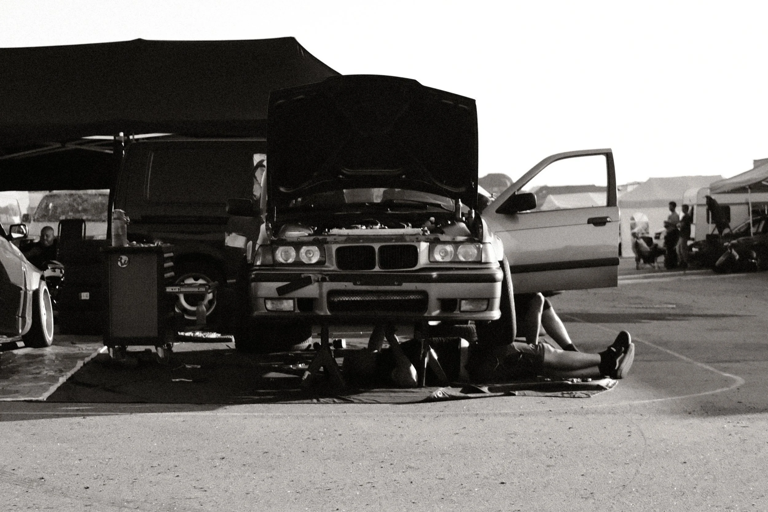 DSCF7503.JPG