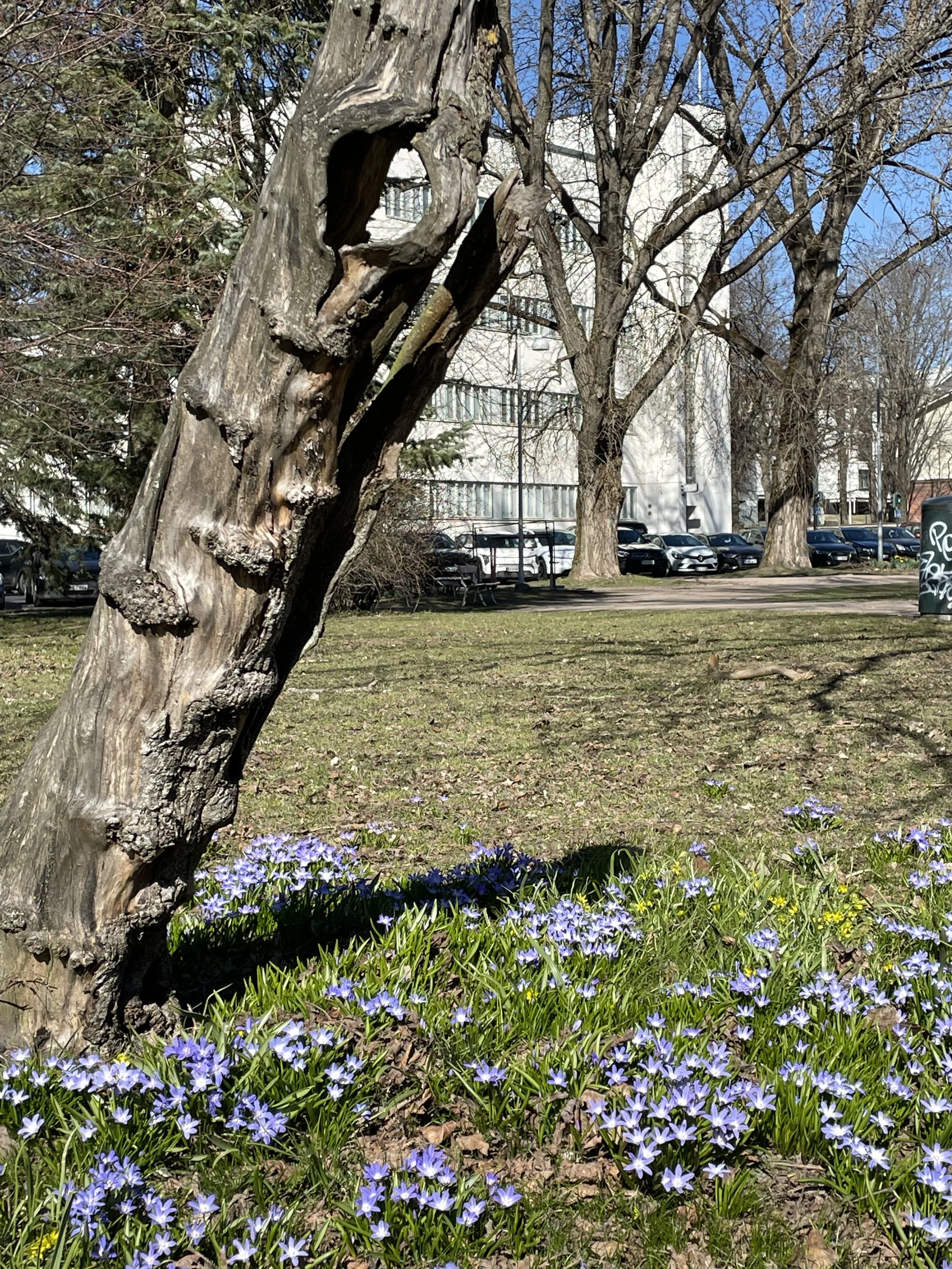 Ihminen ei elä jatkuvassa hälytystilassa hyvin