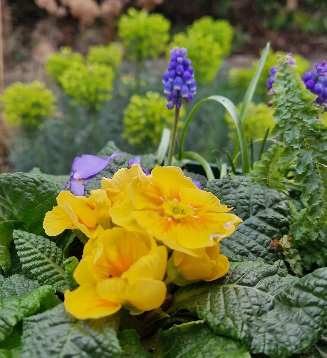 Create a spring planter - Private Event