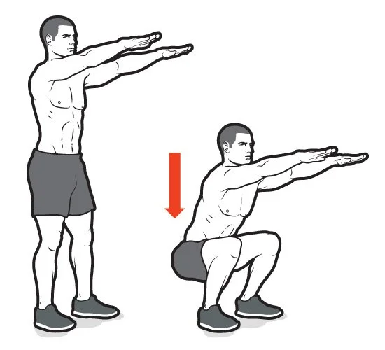 Squat Exercise Image.jpg