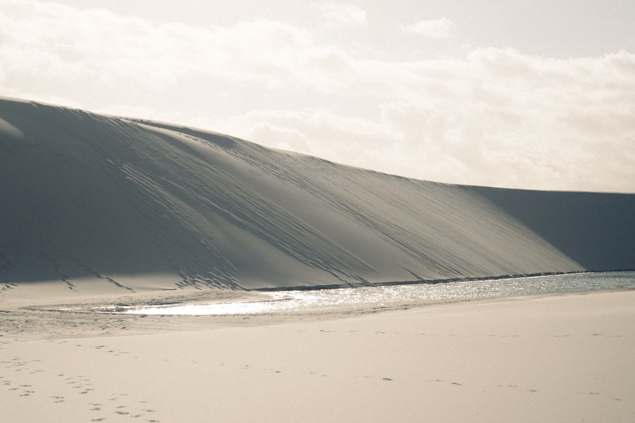 _DSF7715 - Grande.jpeg