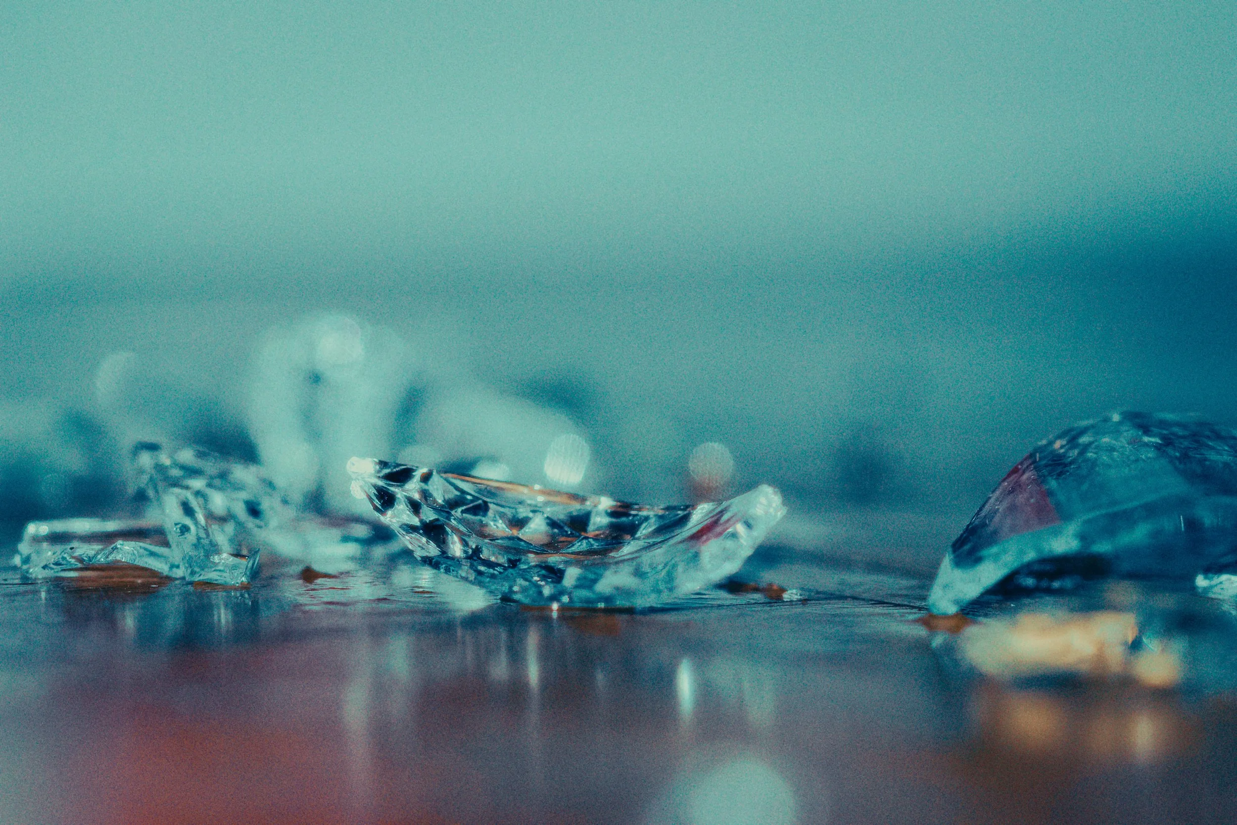 STILLS ELR HD_1.44.5.jpg