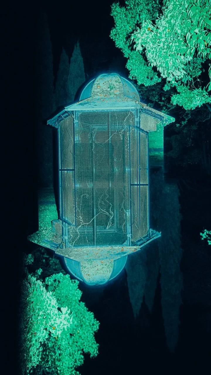 Mermaid’s dream_012.jpg