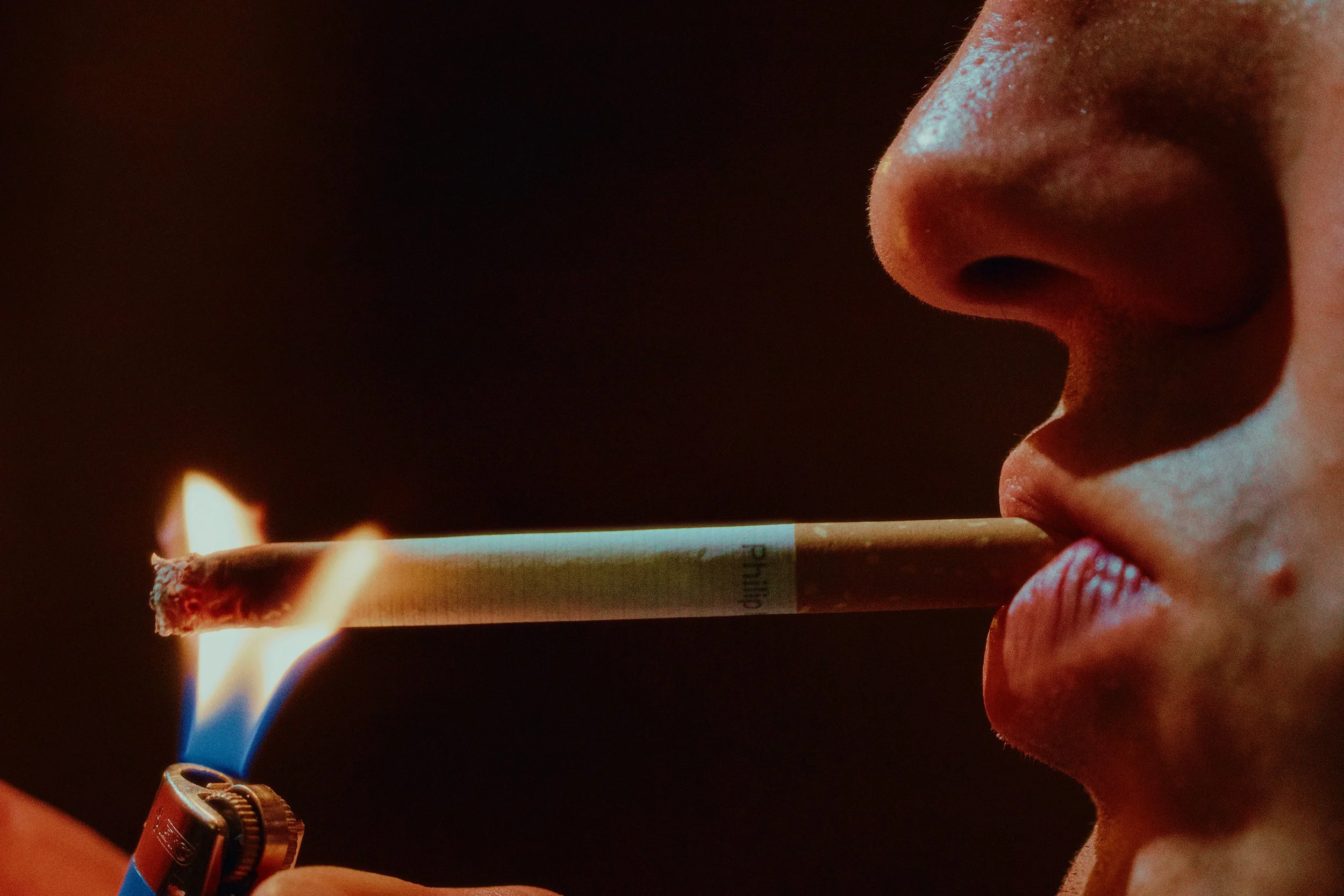 STILLS ELR HD_1.4.1.jpg