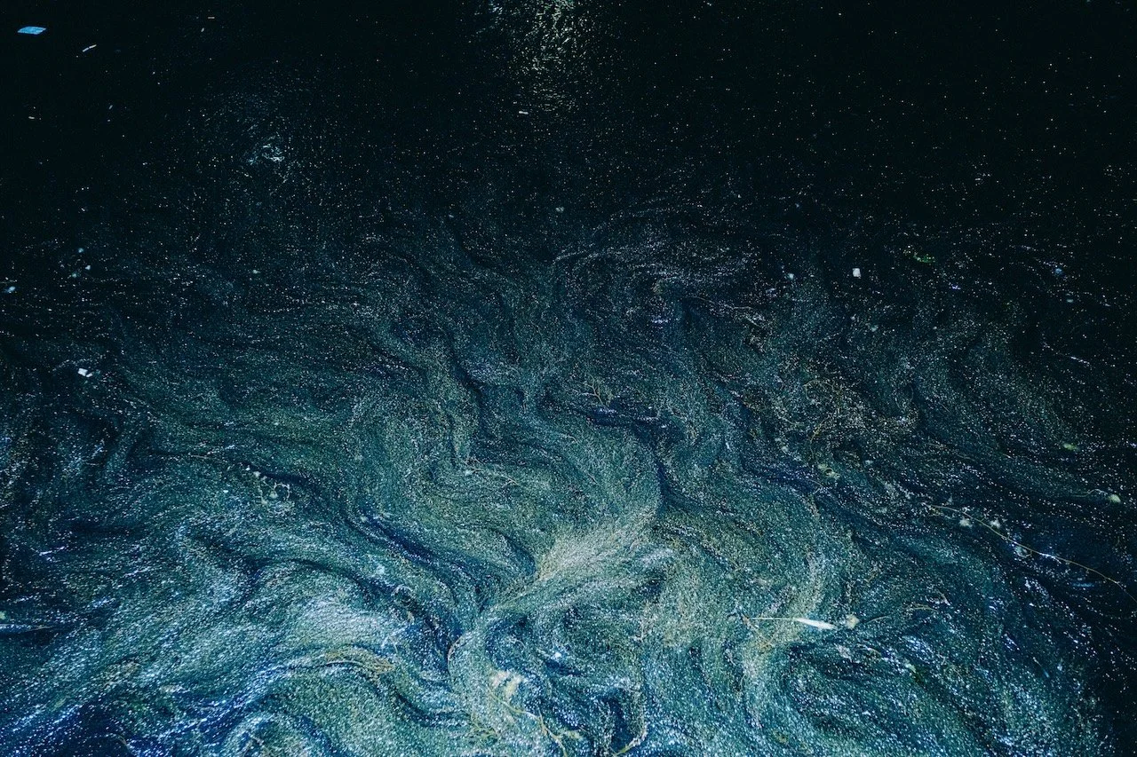 Mermaid’s dream_09.jpg