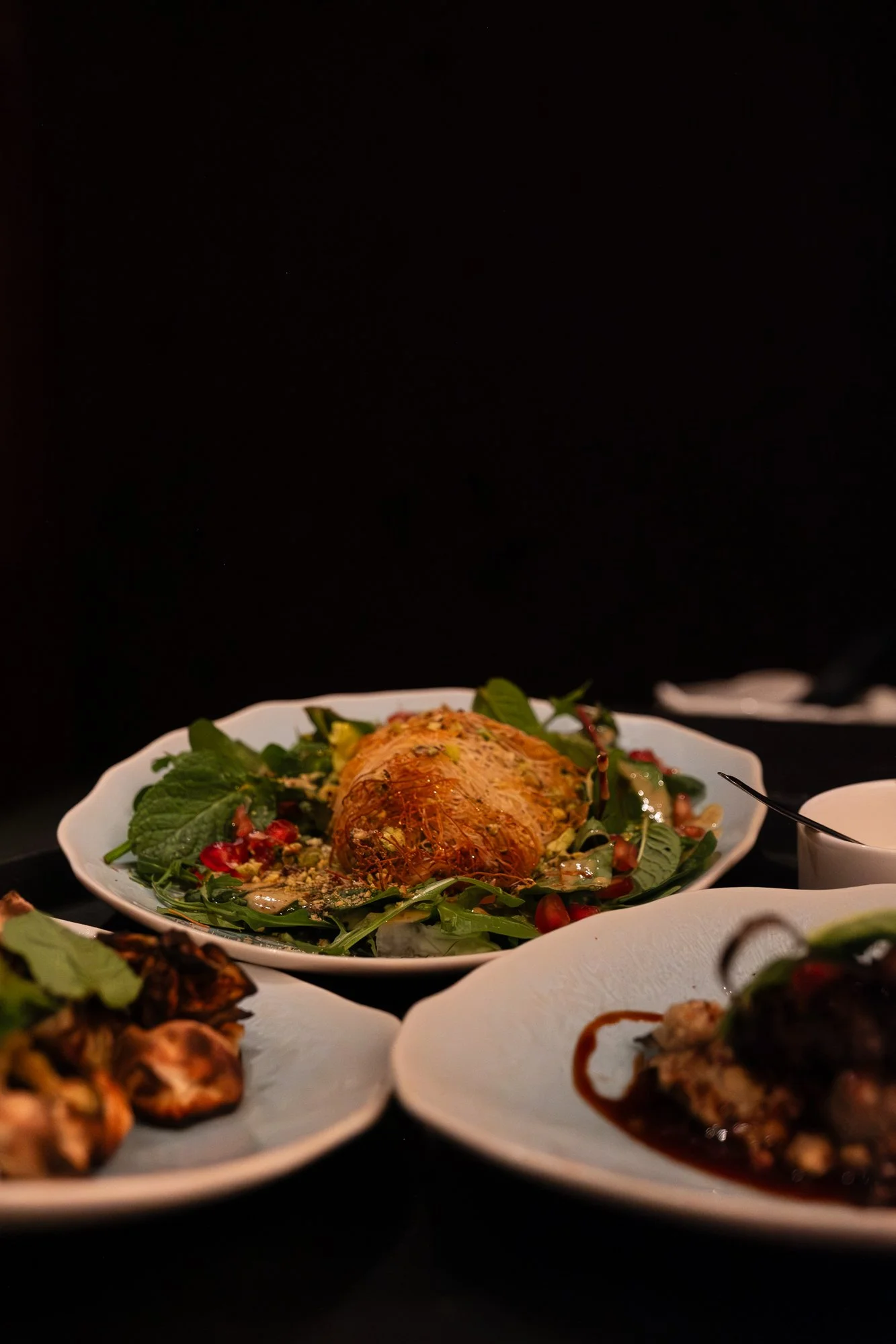 Bascules Jan 26-09.jpg