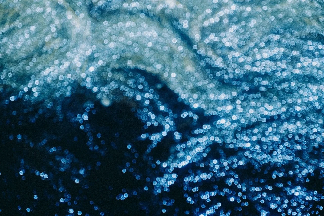 Mermaid’s dream_03.jpg