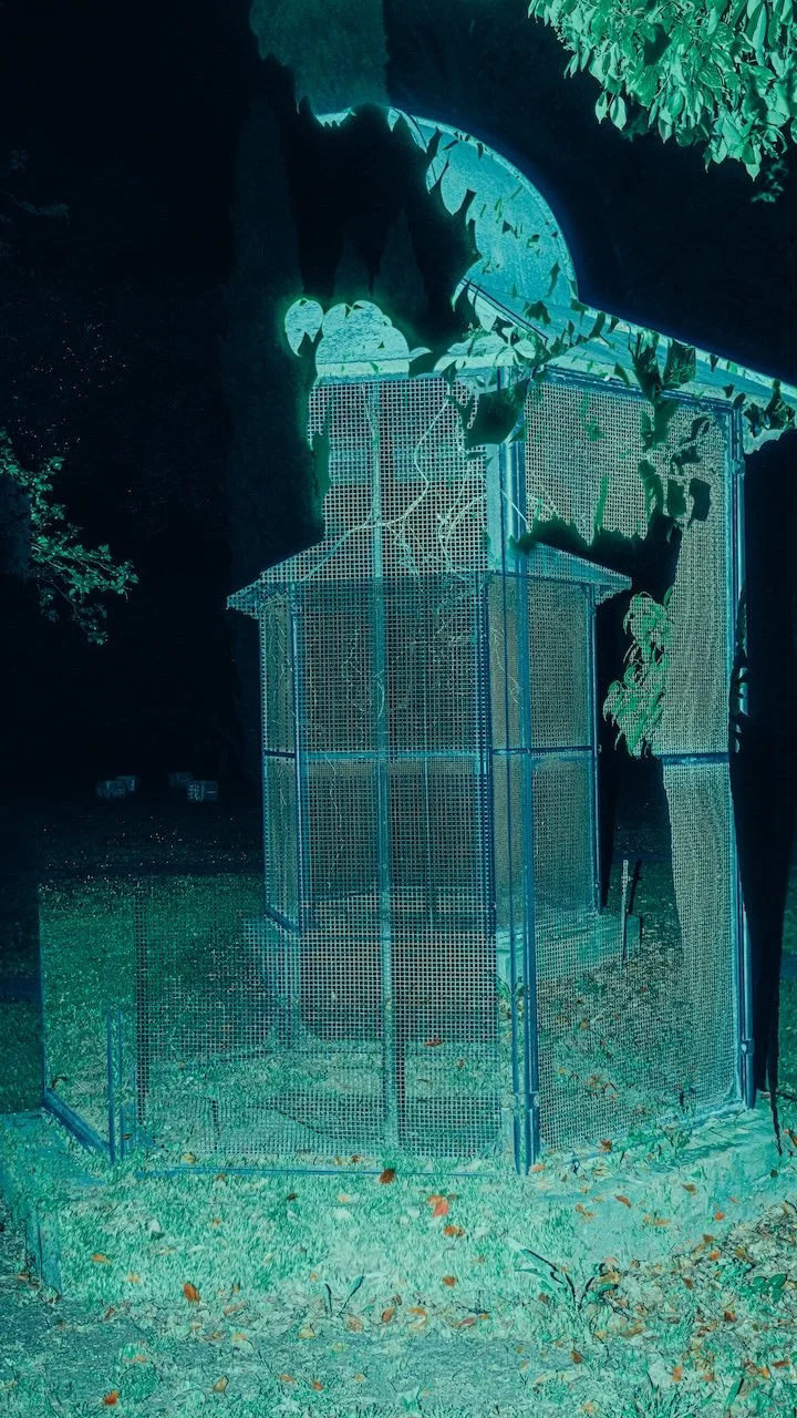 Mermaid’s dream_011.jpg