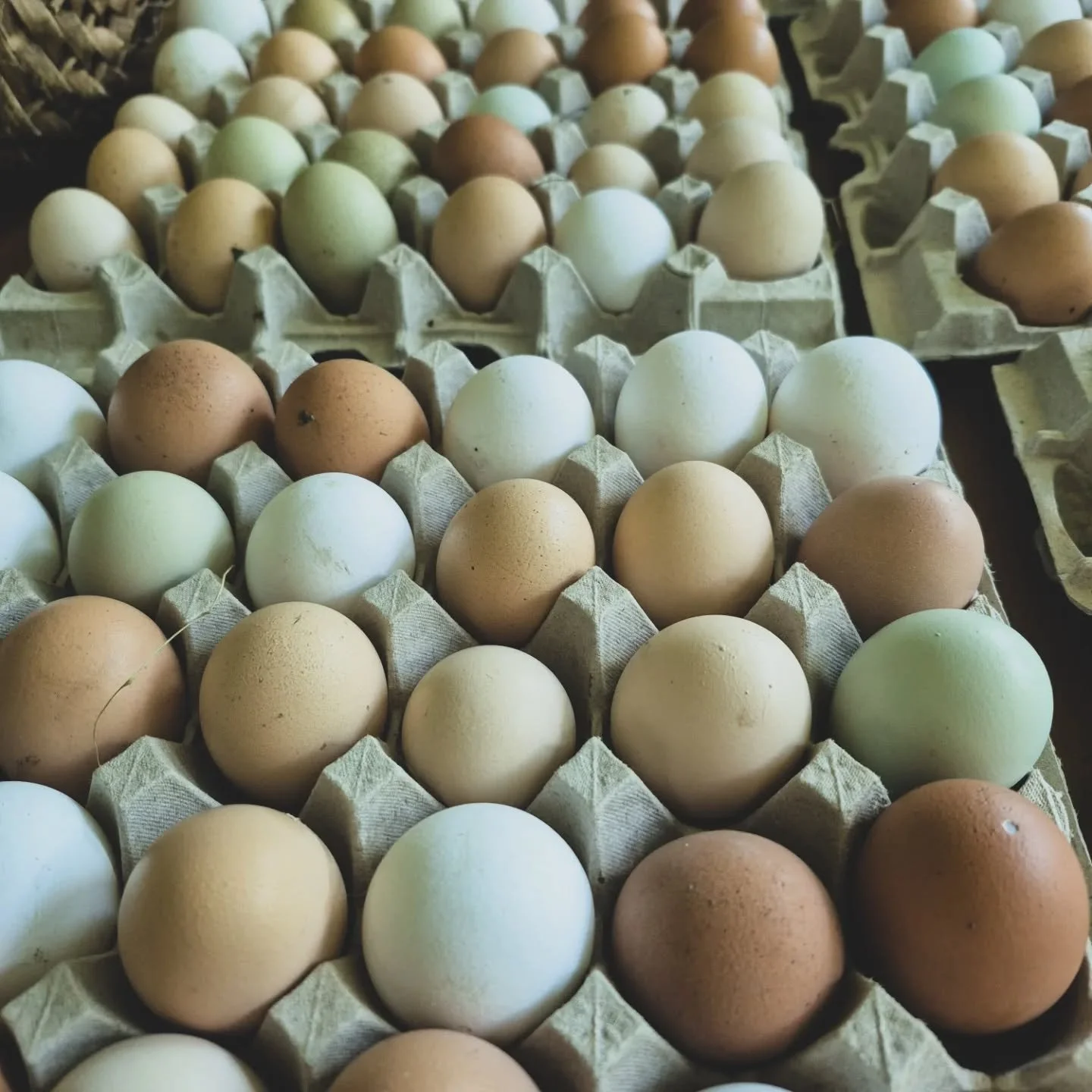 Eggs in cartons, arranged in rows, various colors including white, brown, and light green.