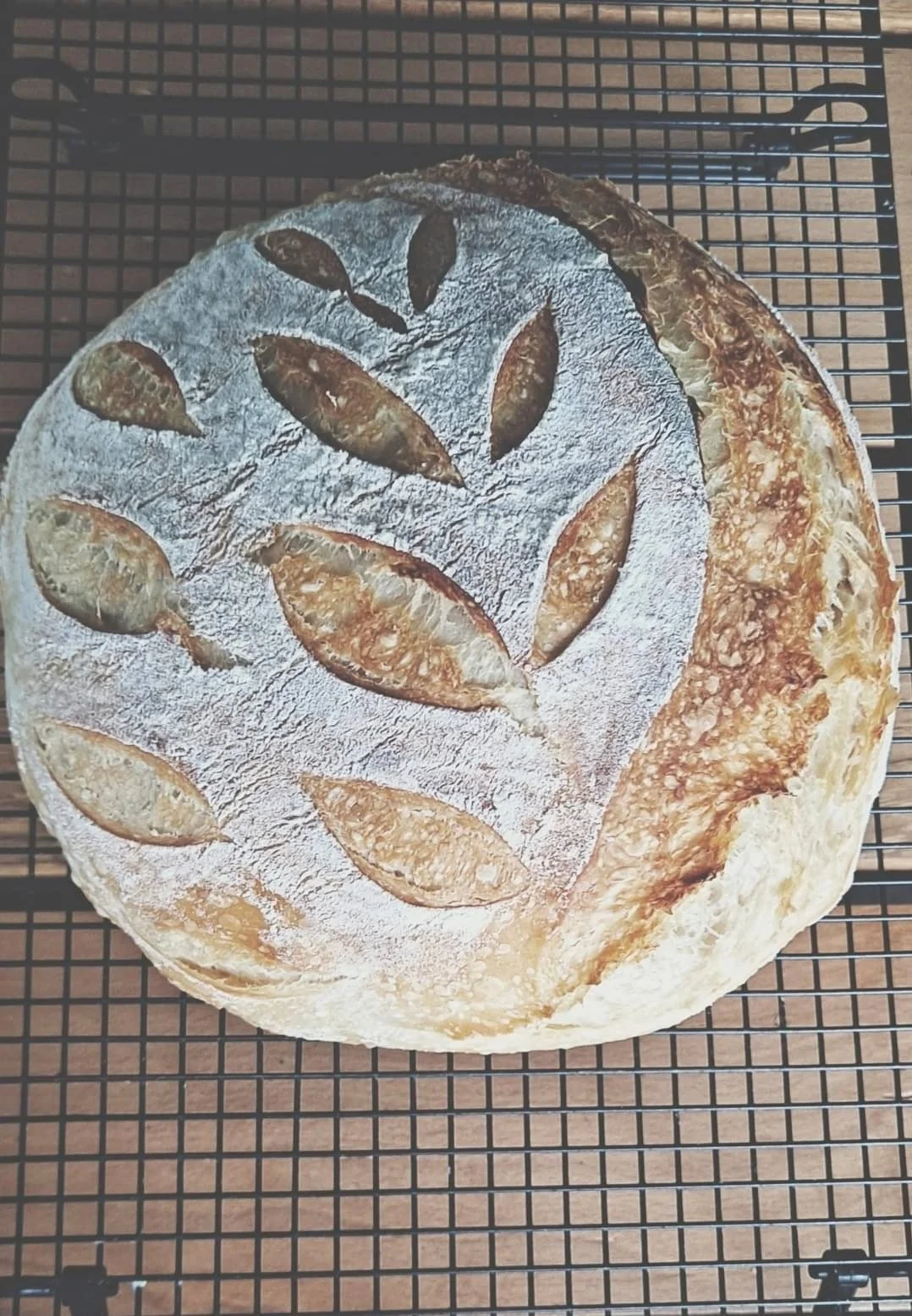 Round loaf of bread with leaf-shaped cutouts on top, dusted with flour, sitting on a cooling rack.