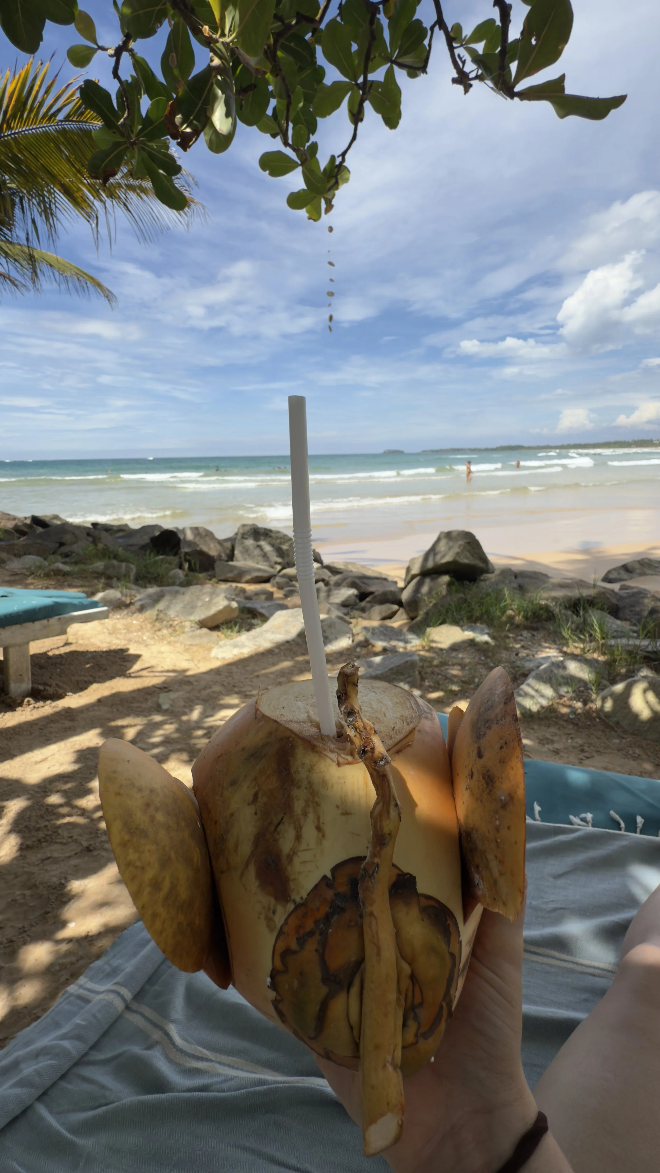 A person holding a coconut with a straw on a beach with sand, rocks, ocean waves, and blue sky in the background.