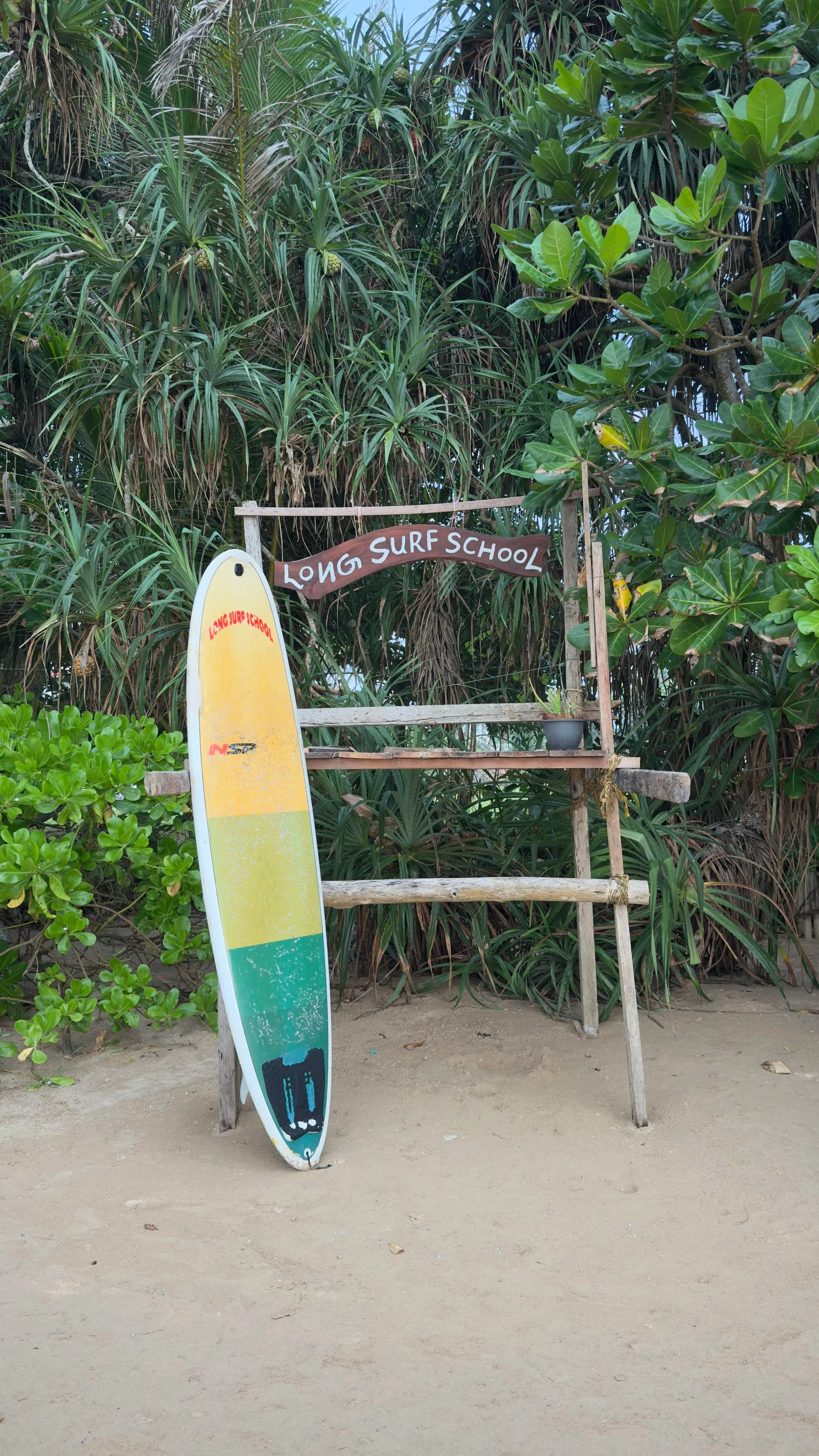 A surfboard with a colorful design leaning against a wooden structure, with a sign reading 'Long Surf School,' and lush green foliage in the background.