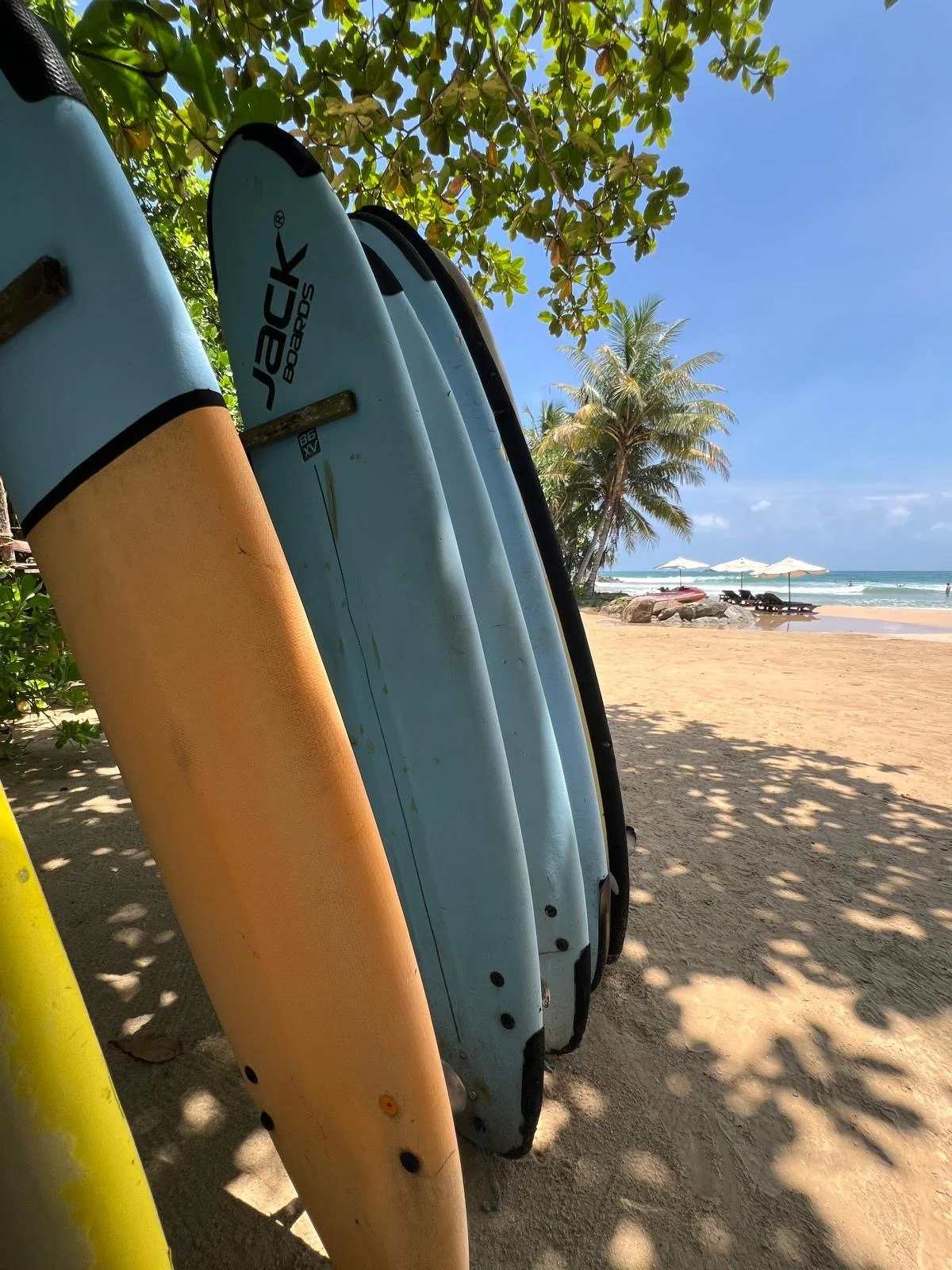 Several paddleboards are leaning against trees on a sandy beach, with a view of the ocean, palm trees, and beach umbrellas in the background.