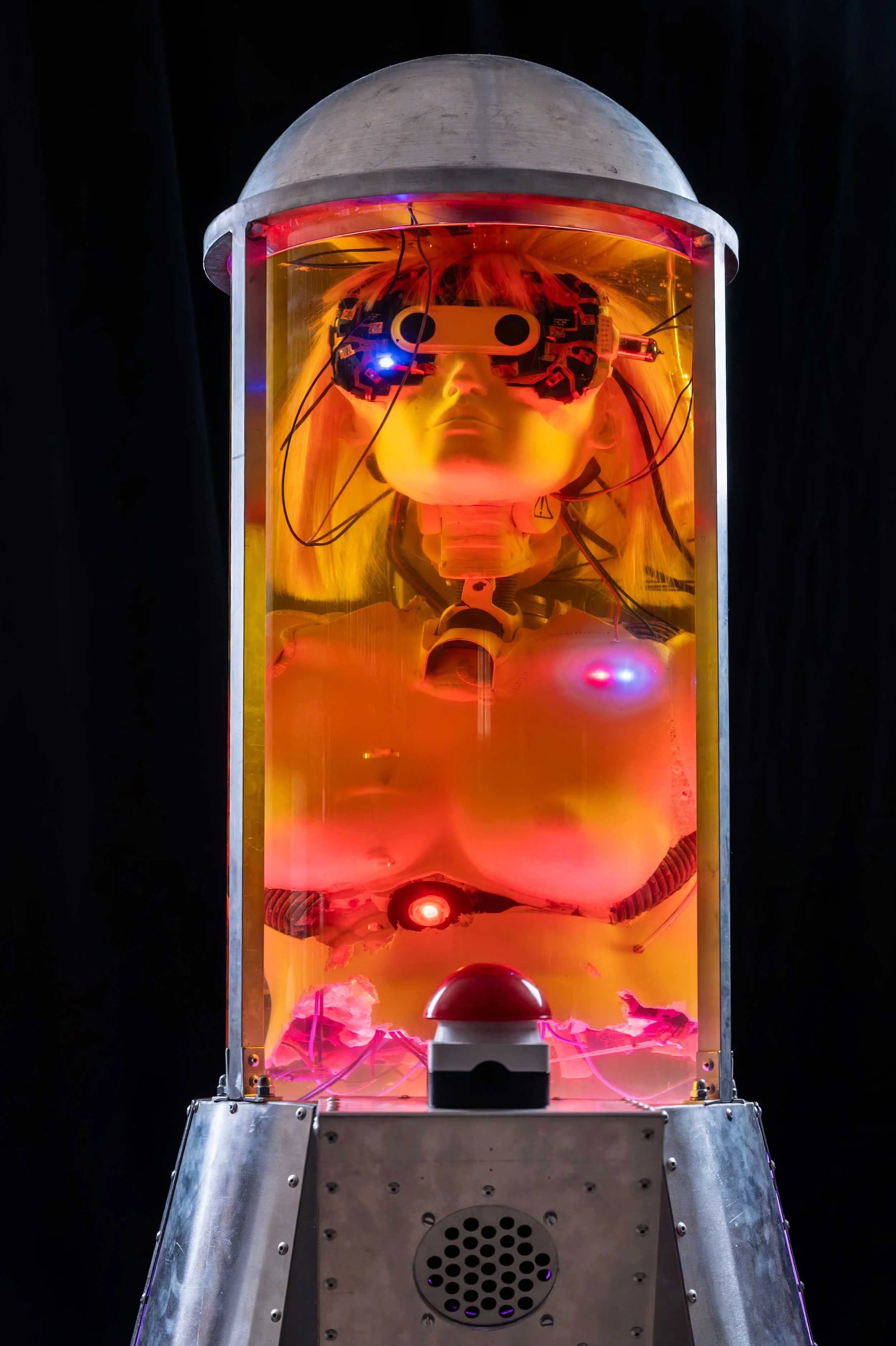 Cynigma