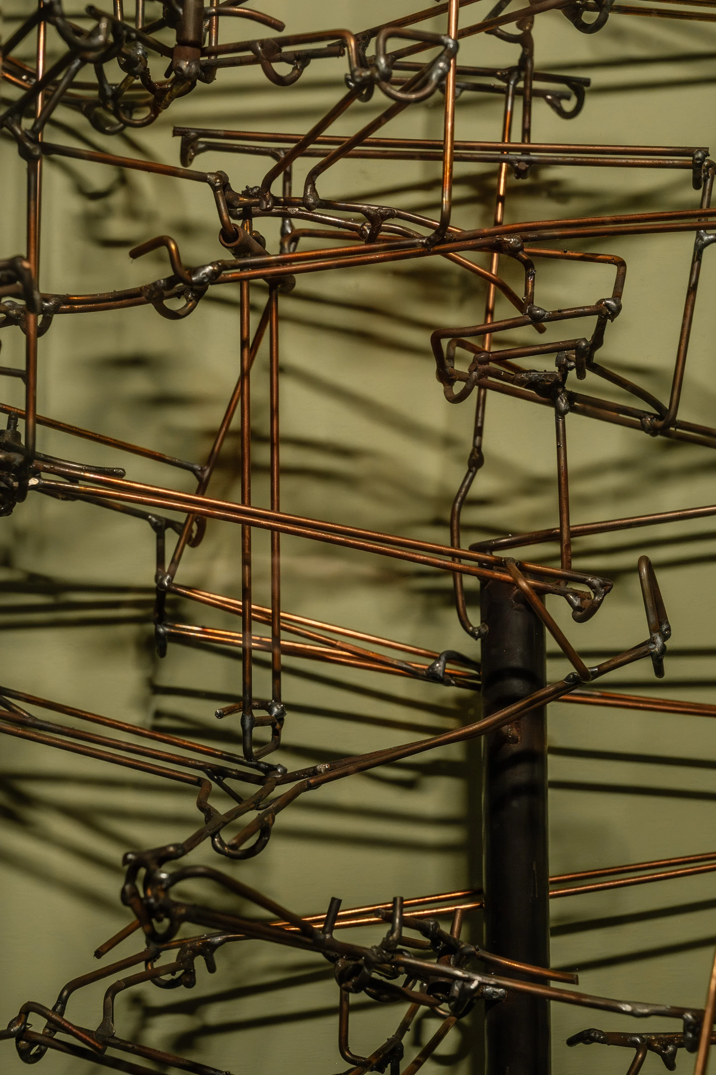 _DSC0702-Verbeterd-NR- Loes Molenaar Photography (1).JPG