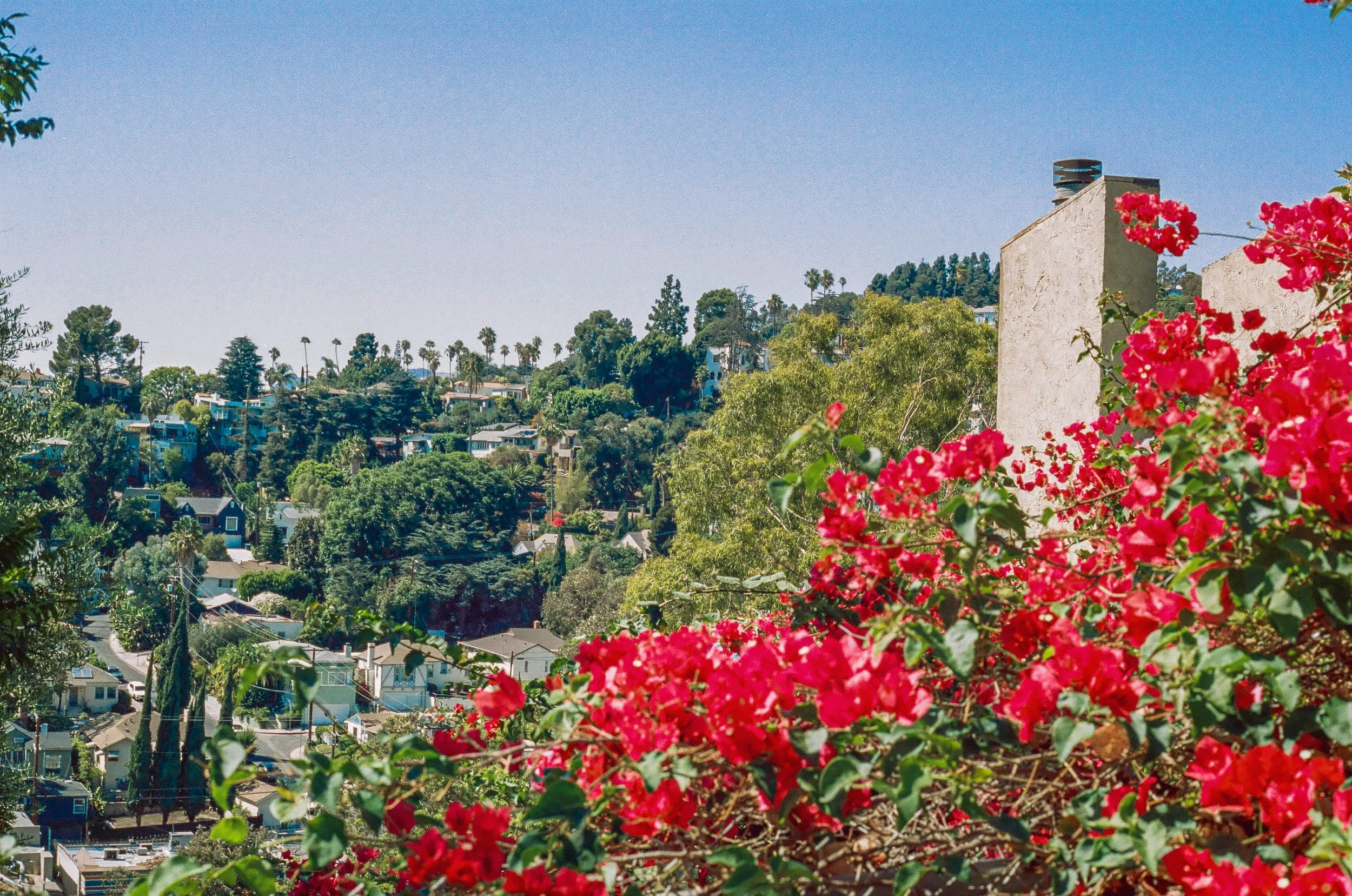 from-silver-lake-to-the-hollywood-hills_52332022638_o.jpg